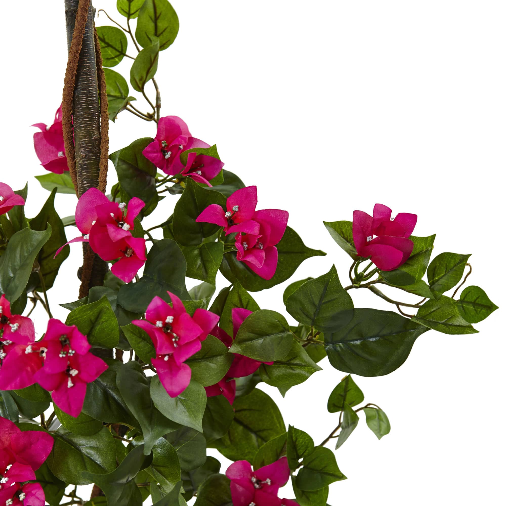 5.5ft. Pink Bougainvillea Topiary Tree with European Barrel Planter