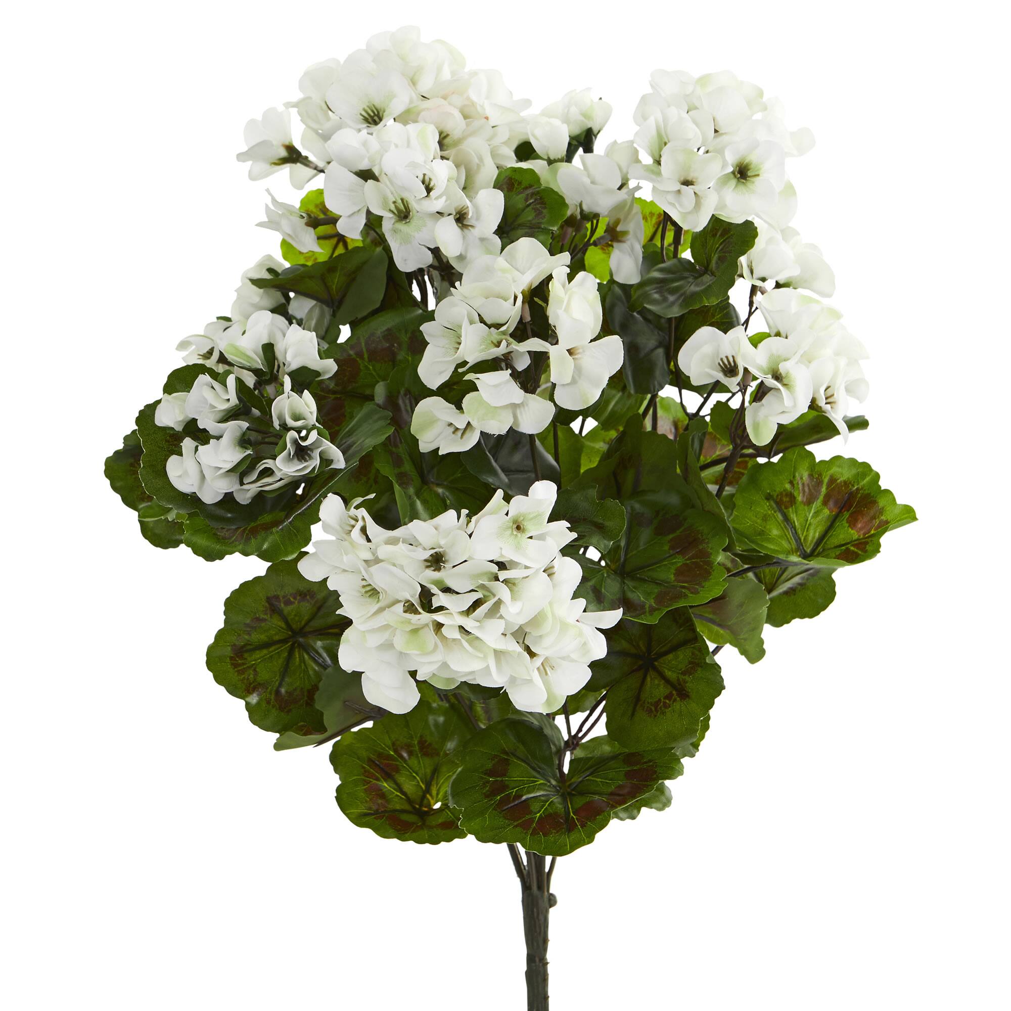 White Geranium Bush, 3ct. Michaels