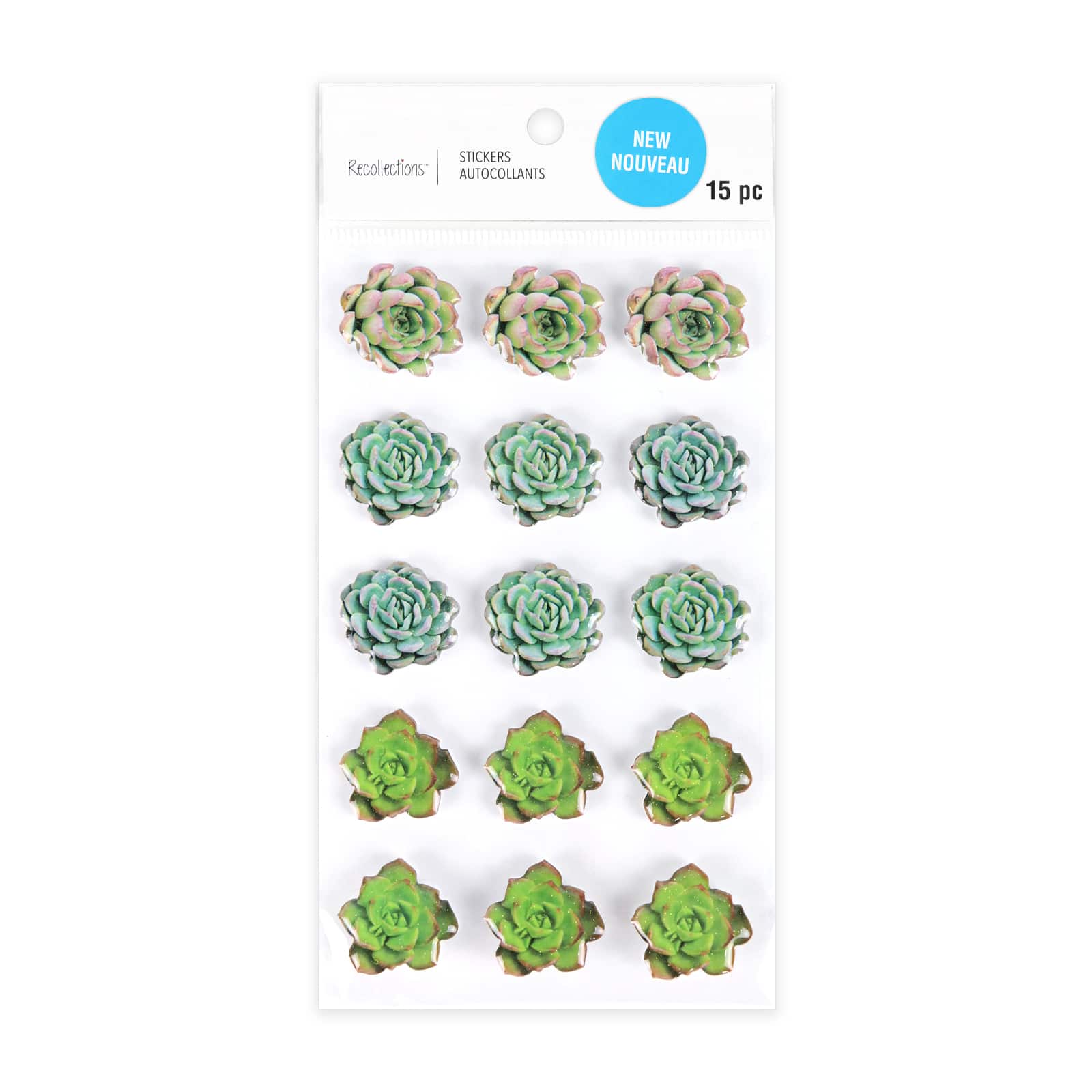 12 Packs: 15 ct. (180 total) Succulent Stickers by Recollections&#x2122;