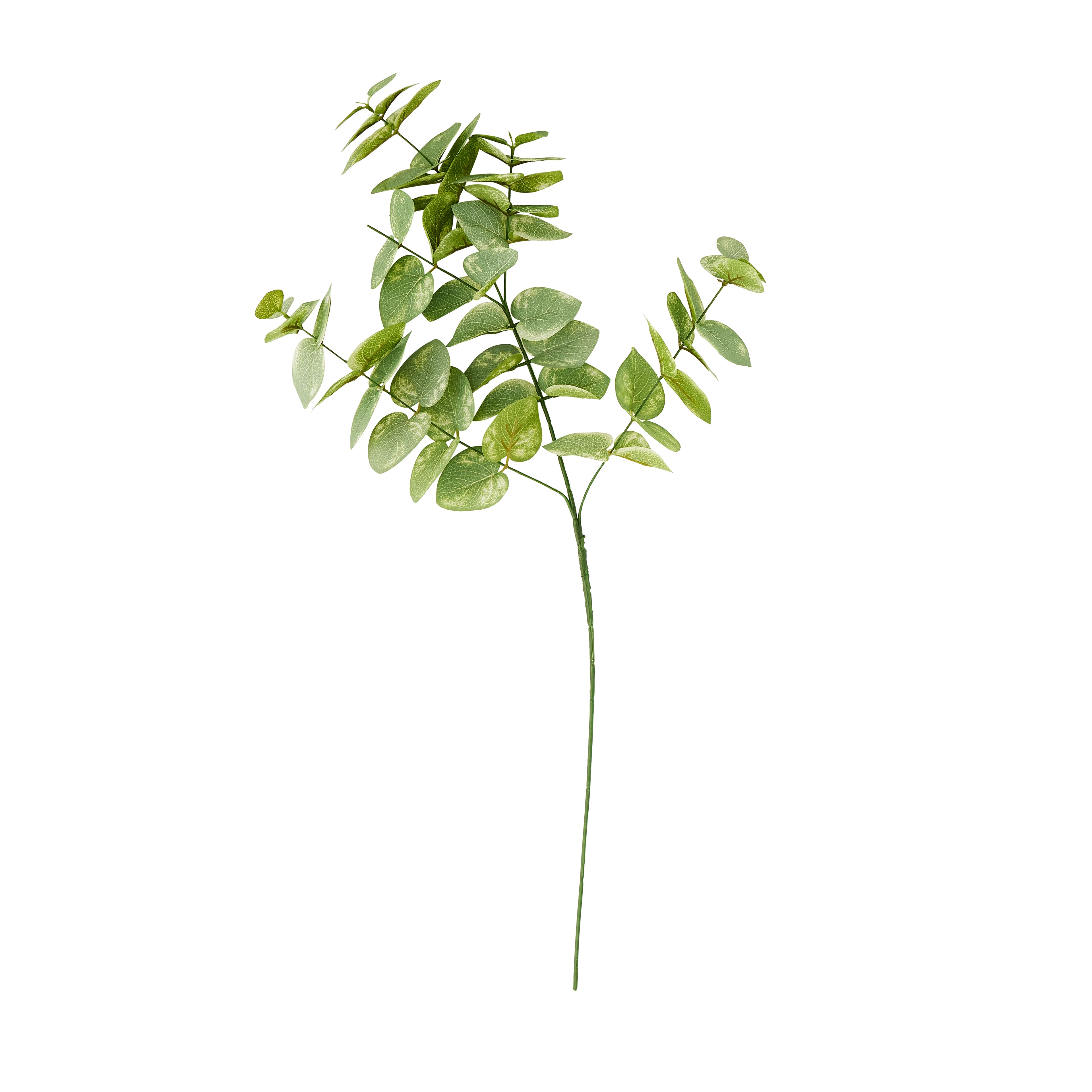 12 Pack: Green Eucalyptus Branch by Ashland&#xAE;