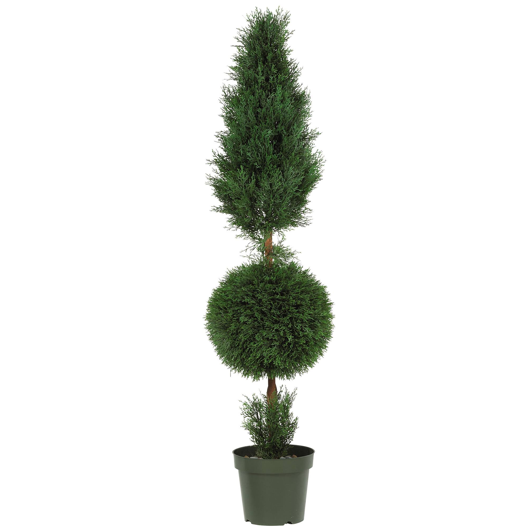 5ft. Potted Cypress Ball & Cone Tree Trees & Floor Plants Michaels