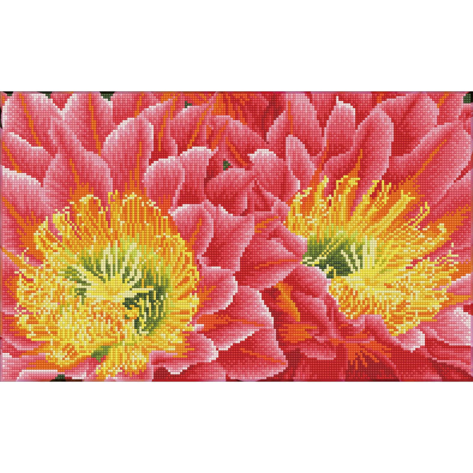 Diamond Dotz® Intermediate Desert Blooms Pre-Framed Diamond Painting Kit