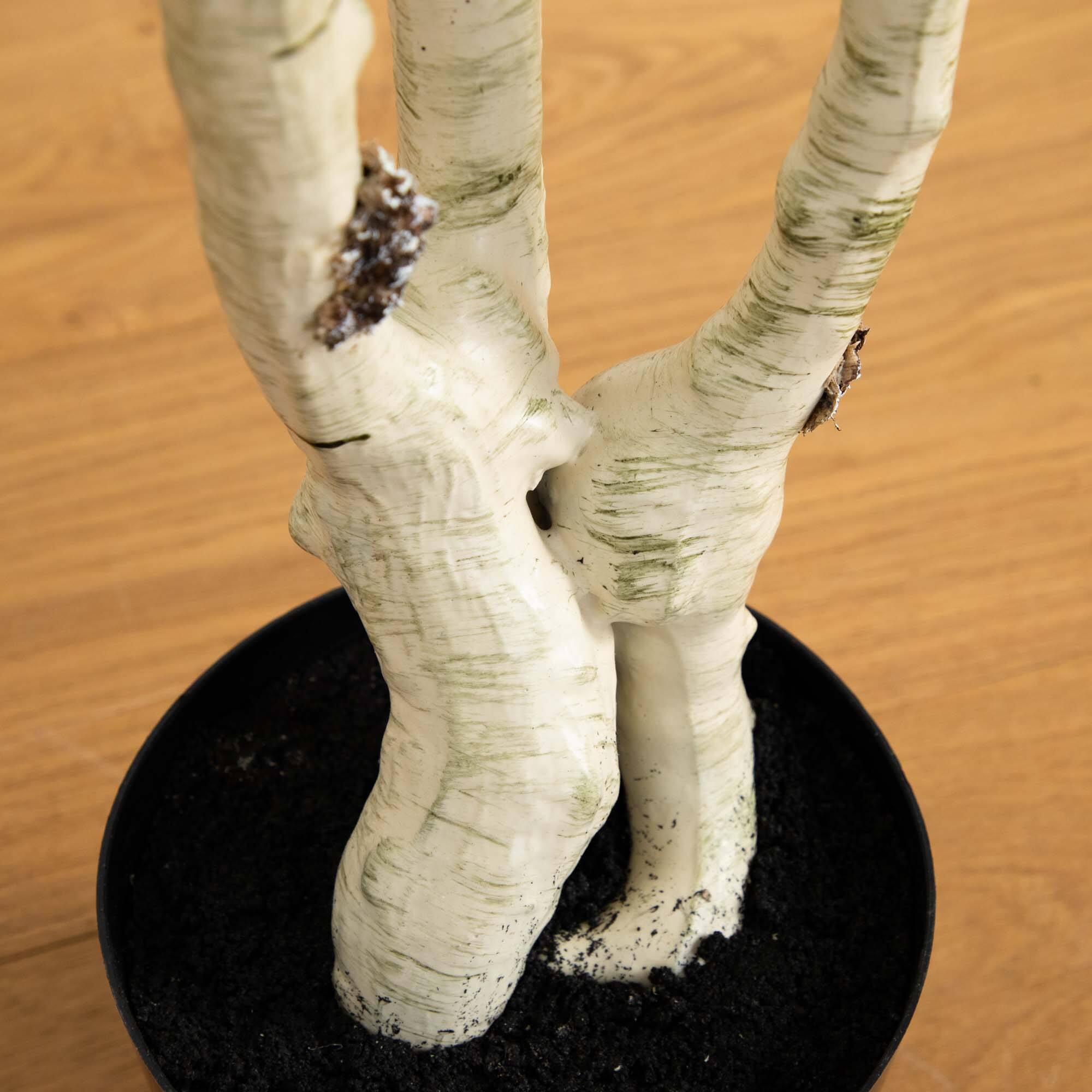 6ft. Potted Green Artificial Birch Tree with Real Touch Leaves
