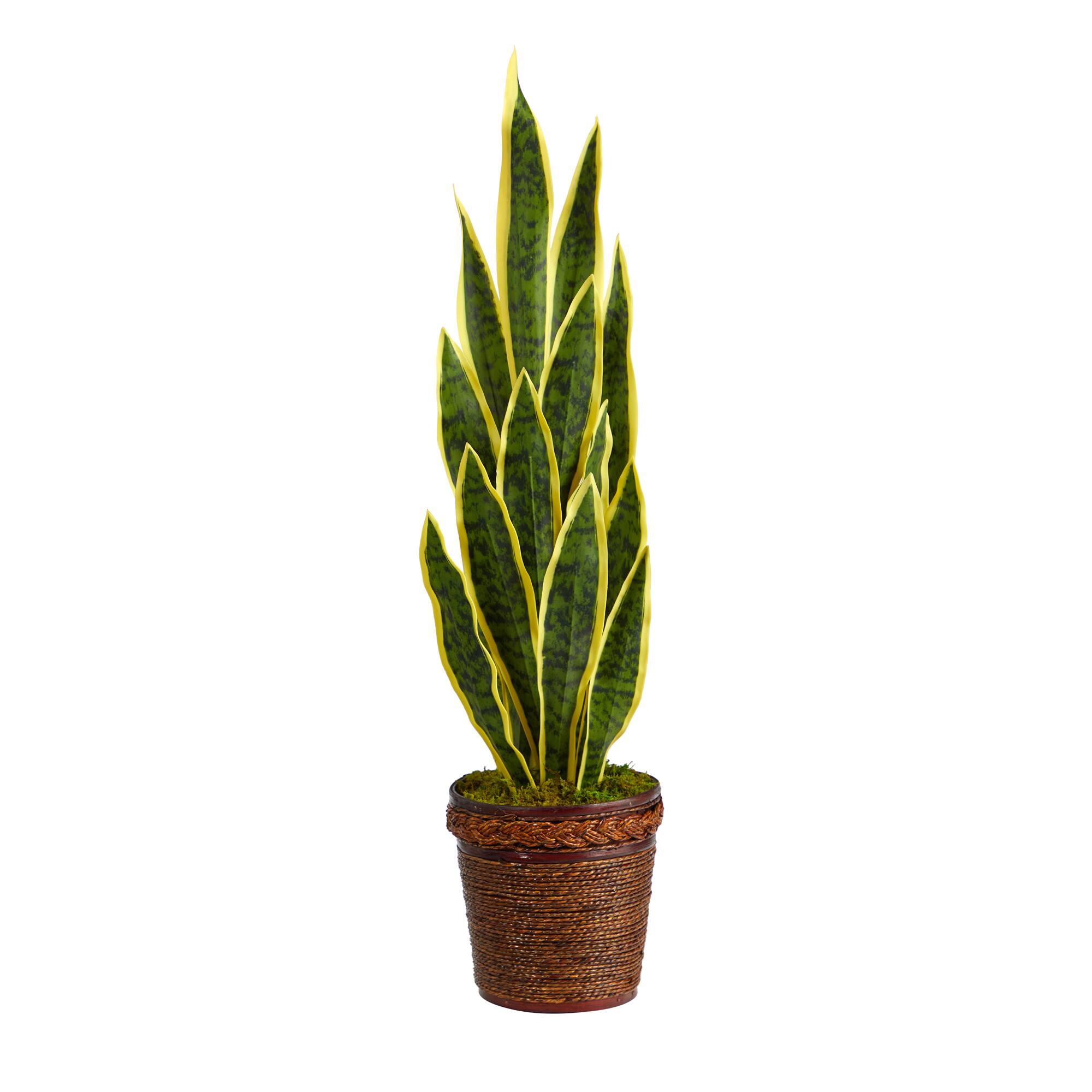2.5ft. Snake Plant in Decorative Basket Planter Potted Plants Michaels