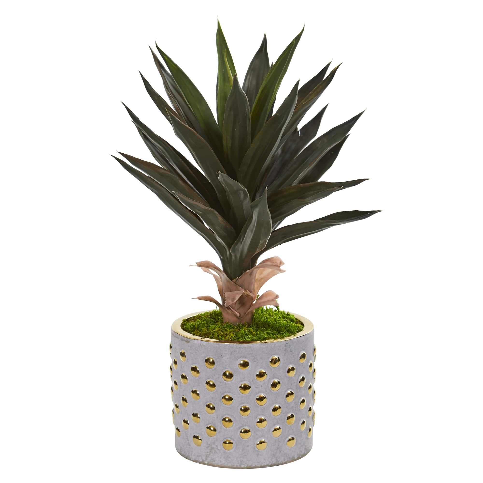 21" Agave Plant in Designer Planter