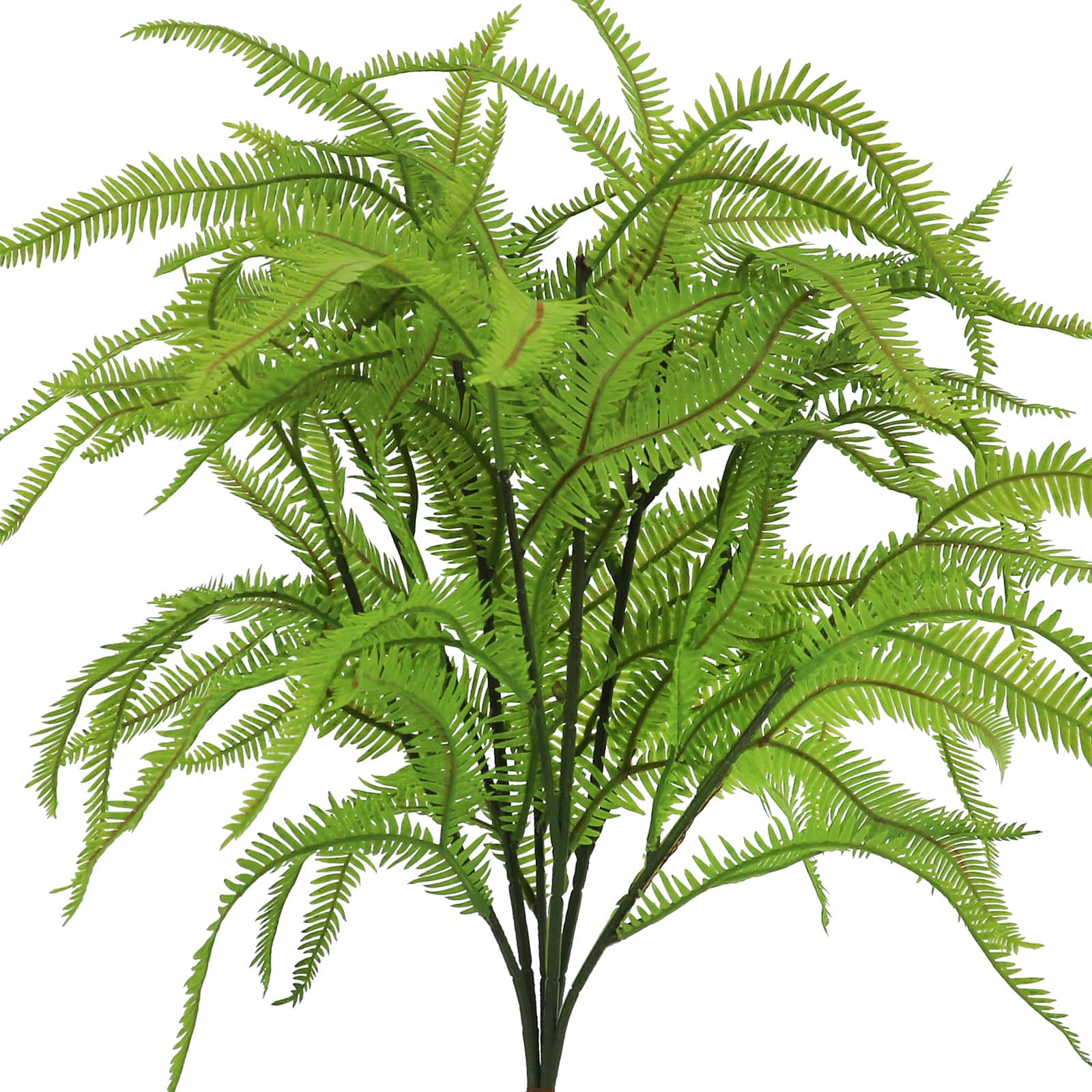 16&#x22; Light Green Boston Fern Bush by Ashland&#xAE;