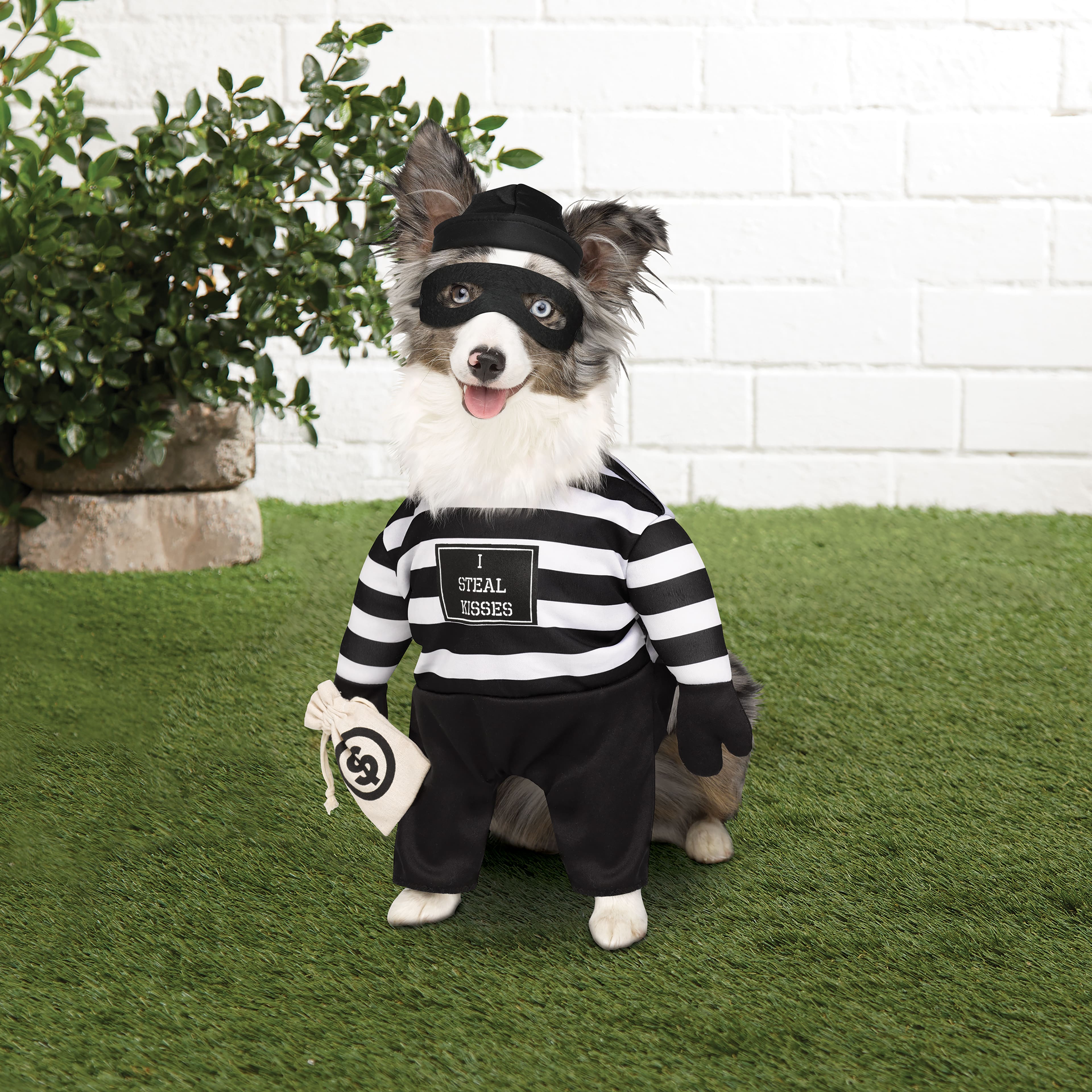 Robber Dog Costume by Ashland&#xAE;