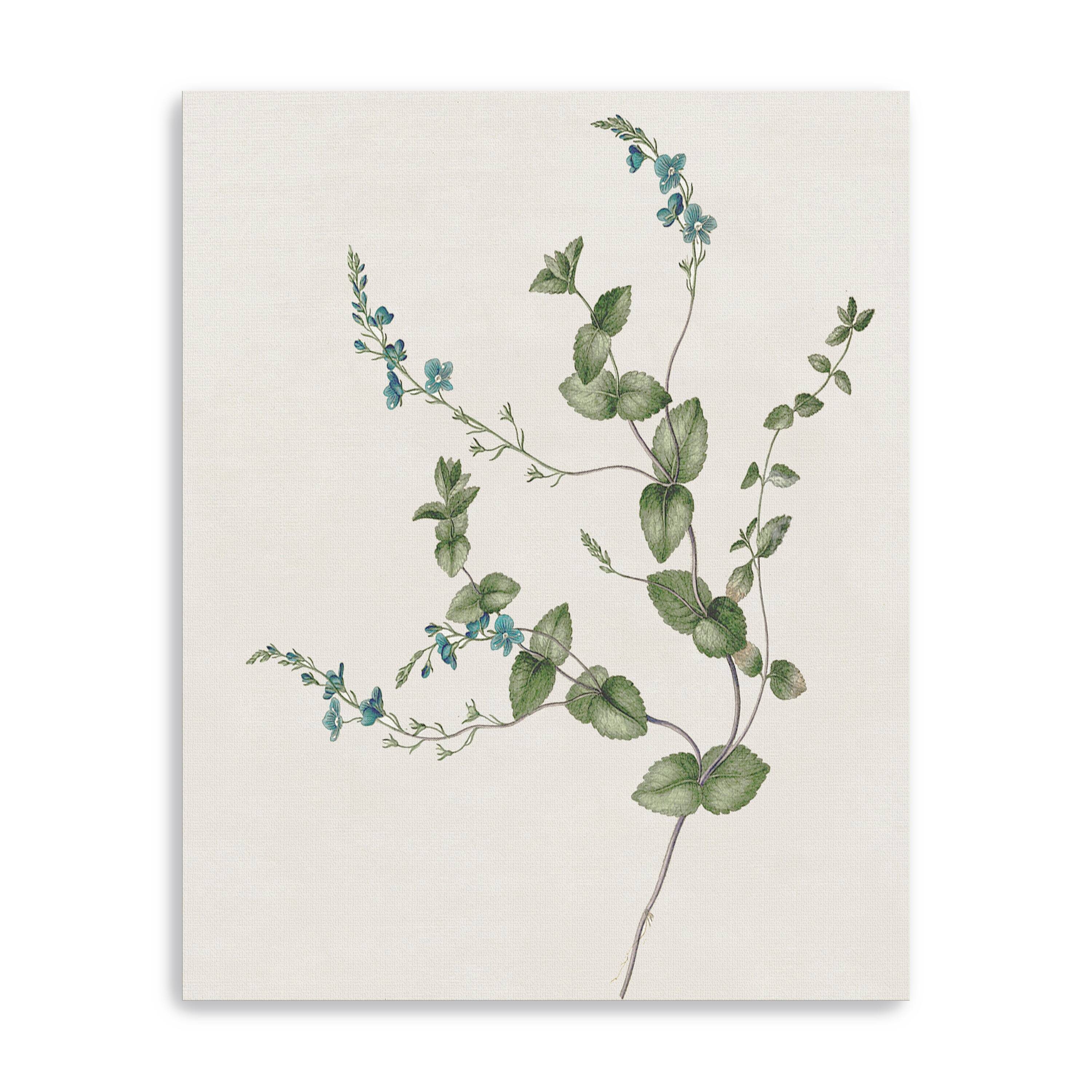 Blue Wispy II Canvas Giclee