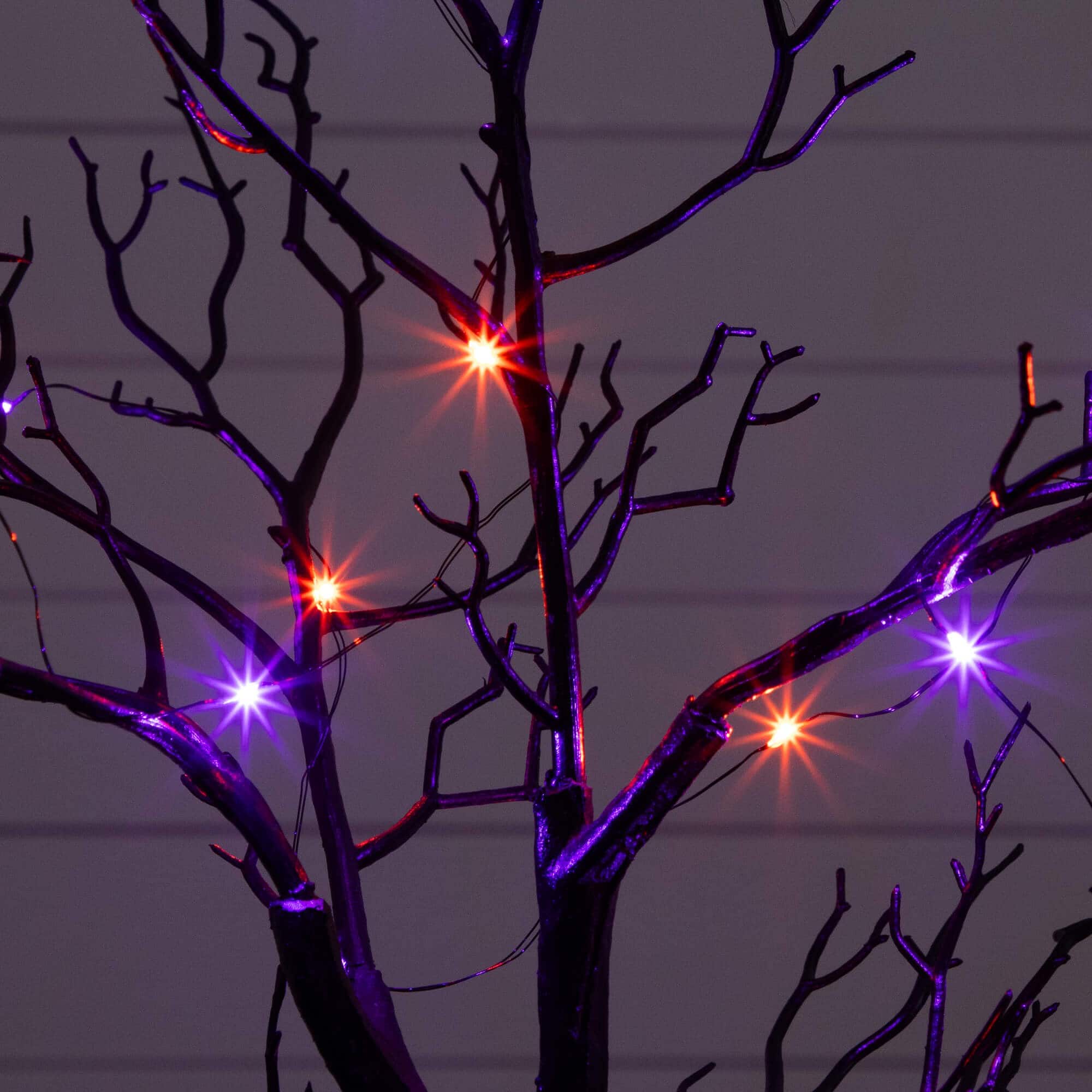 2ft. Pre-Lit Artificial Halloween Black Spooky Twig Tree with Bats and 40 Orange &#x26; Purple LED Lights