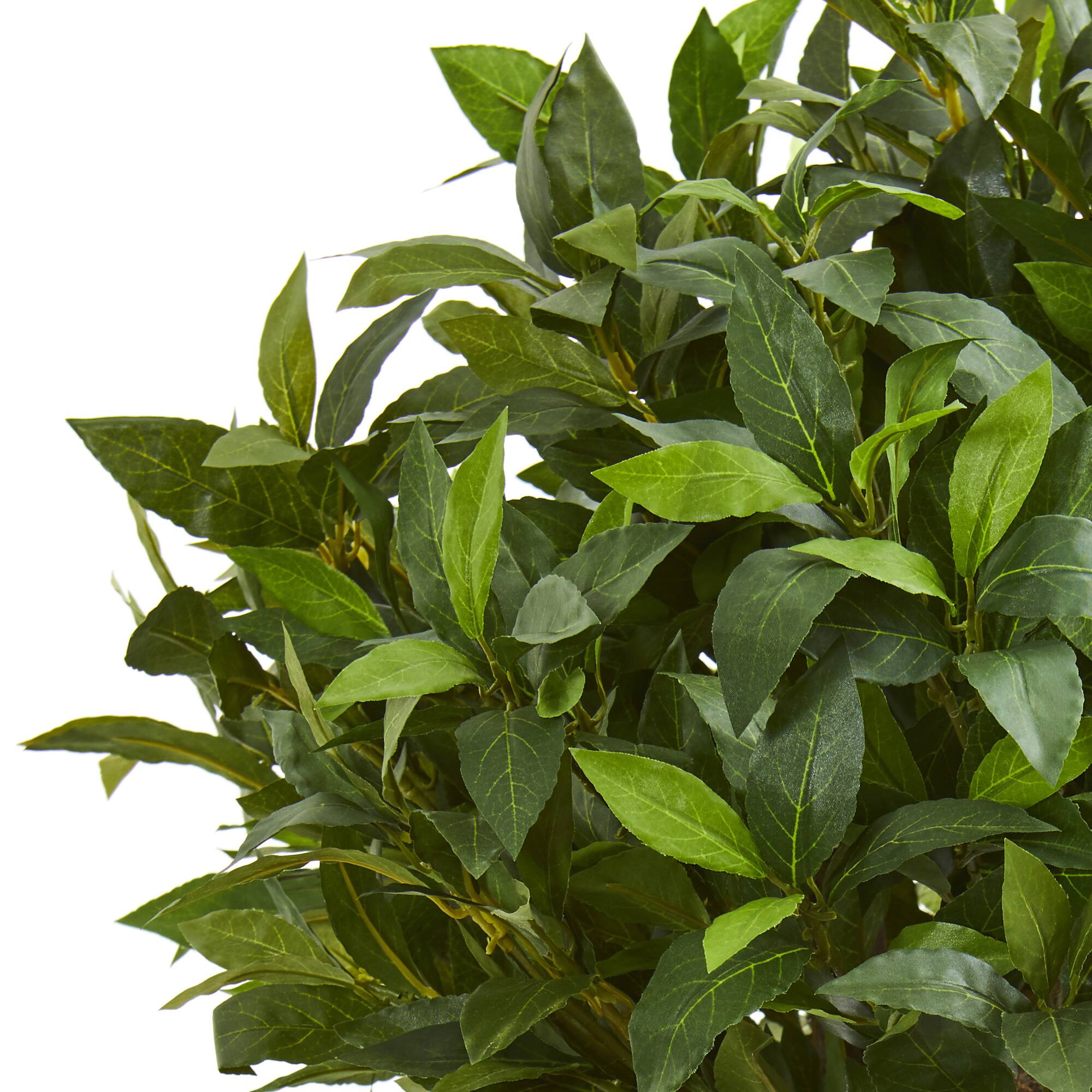 3ft. Potted Bay Leaf Topiary Tree Michaels