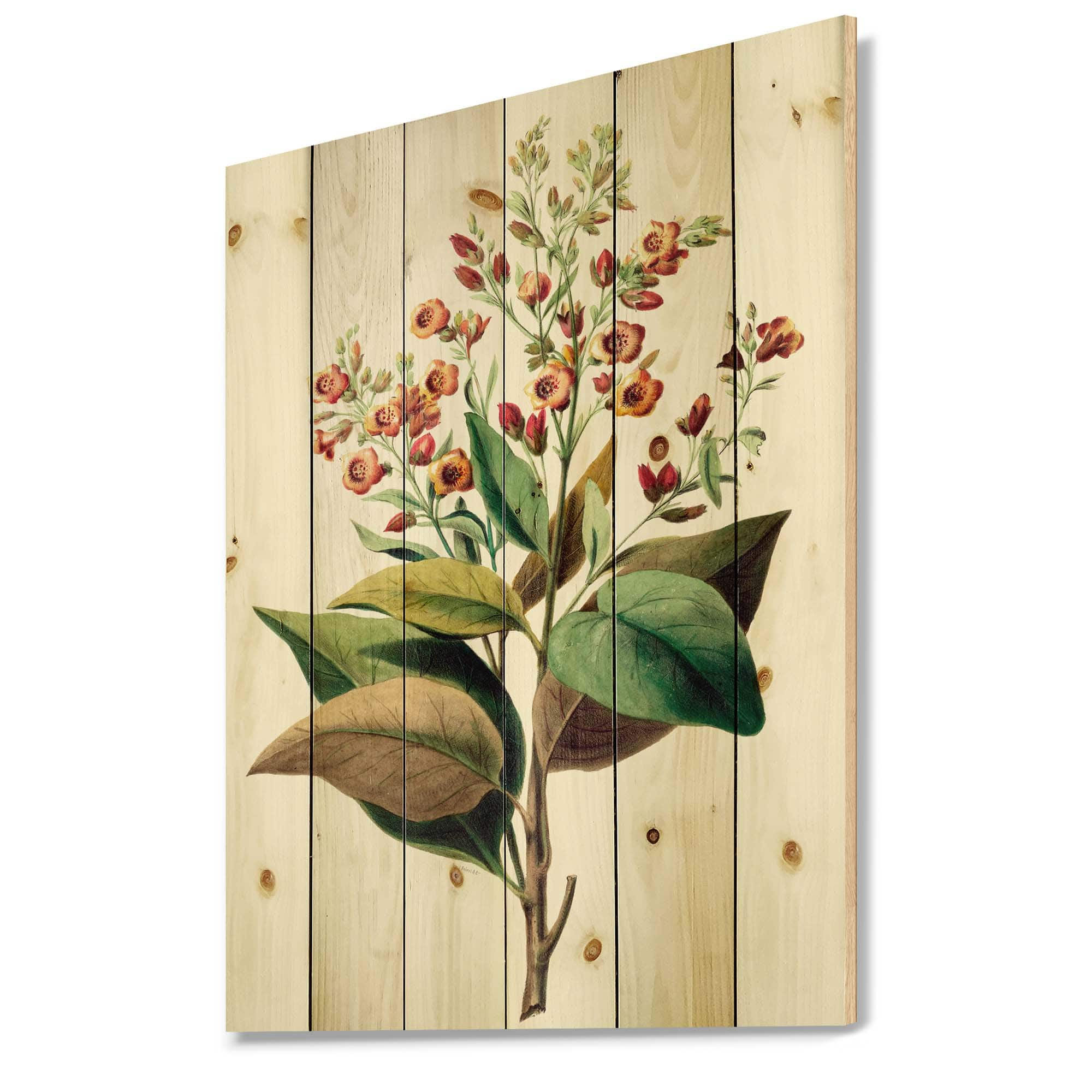 Designart - Vintage American Flowers II - Traditional Print on Natural Pine Wood