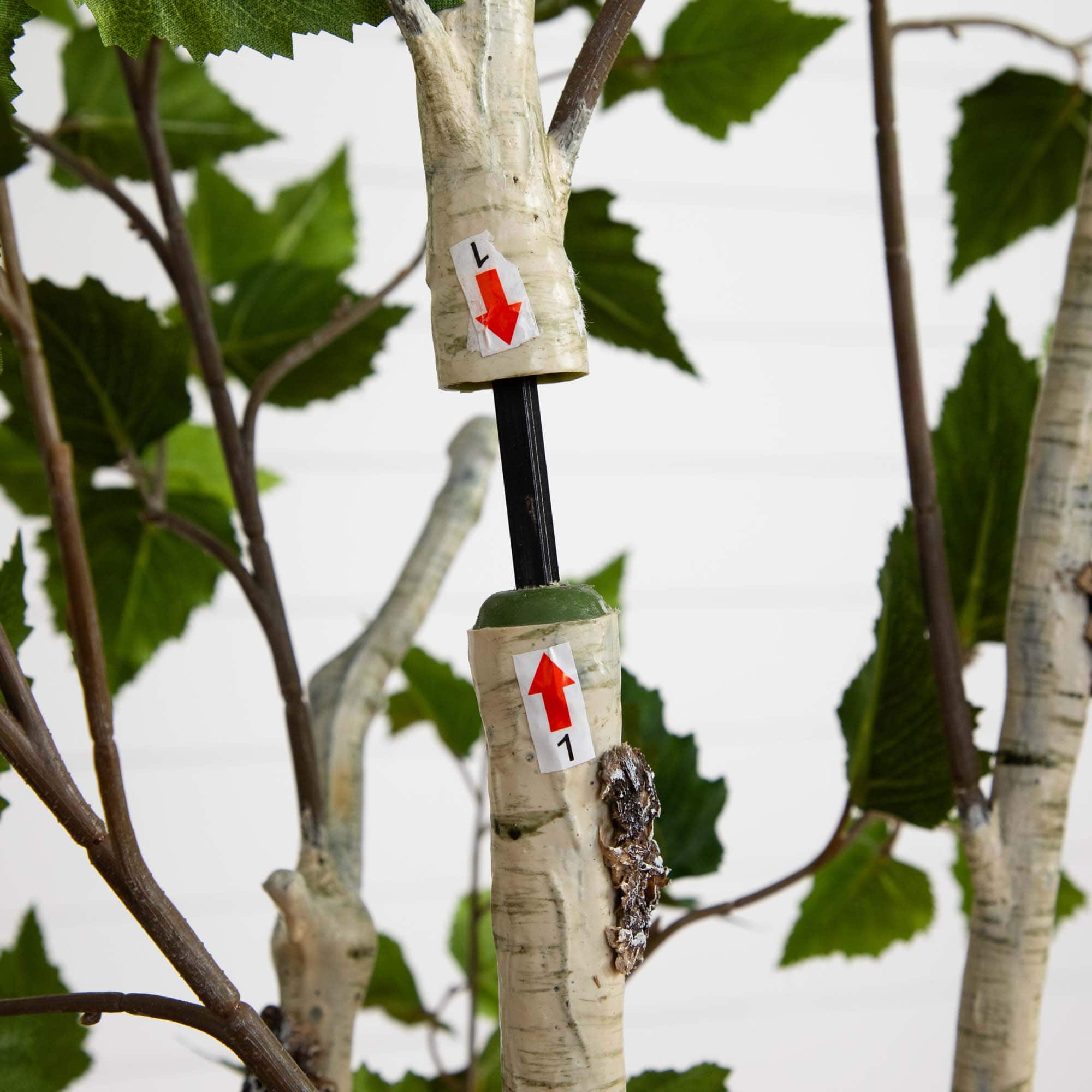 6ft. Potted Green Artificial Birch Tree with Real Touch Leaves