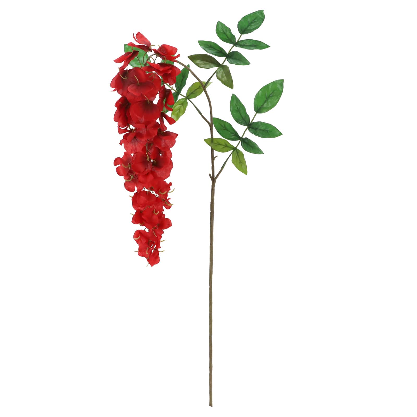 12 Pack: Red Wisteria Stem by Ashland®