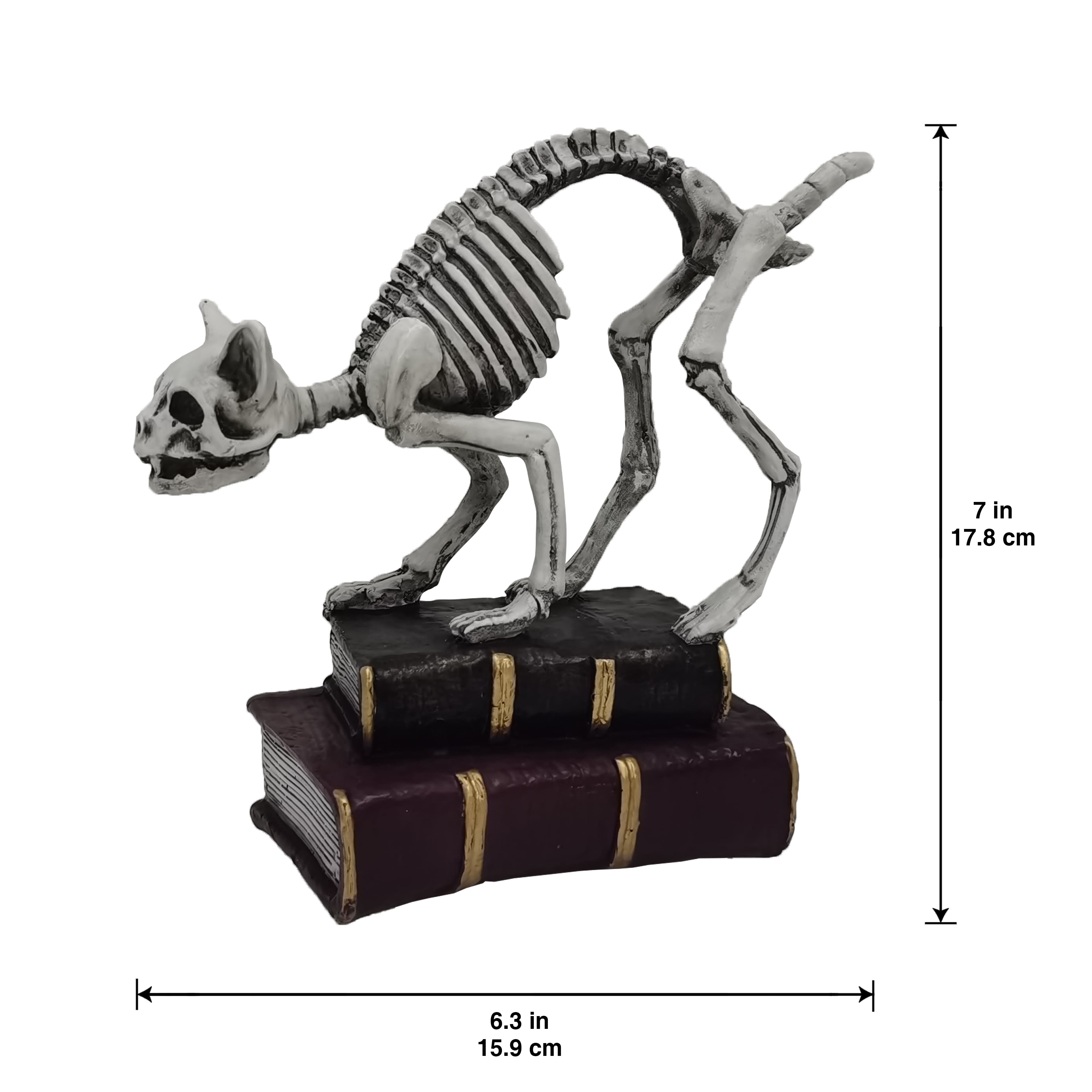 7&#x22; Skeleton Cat with Books Tabletop D&#xE9;cor by Ashland&#xAE;