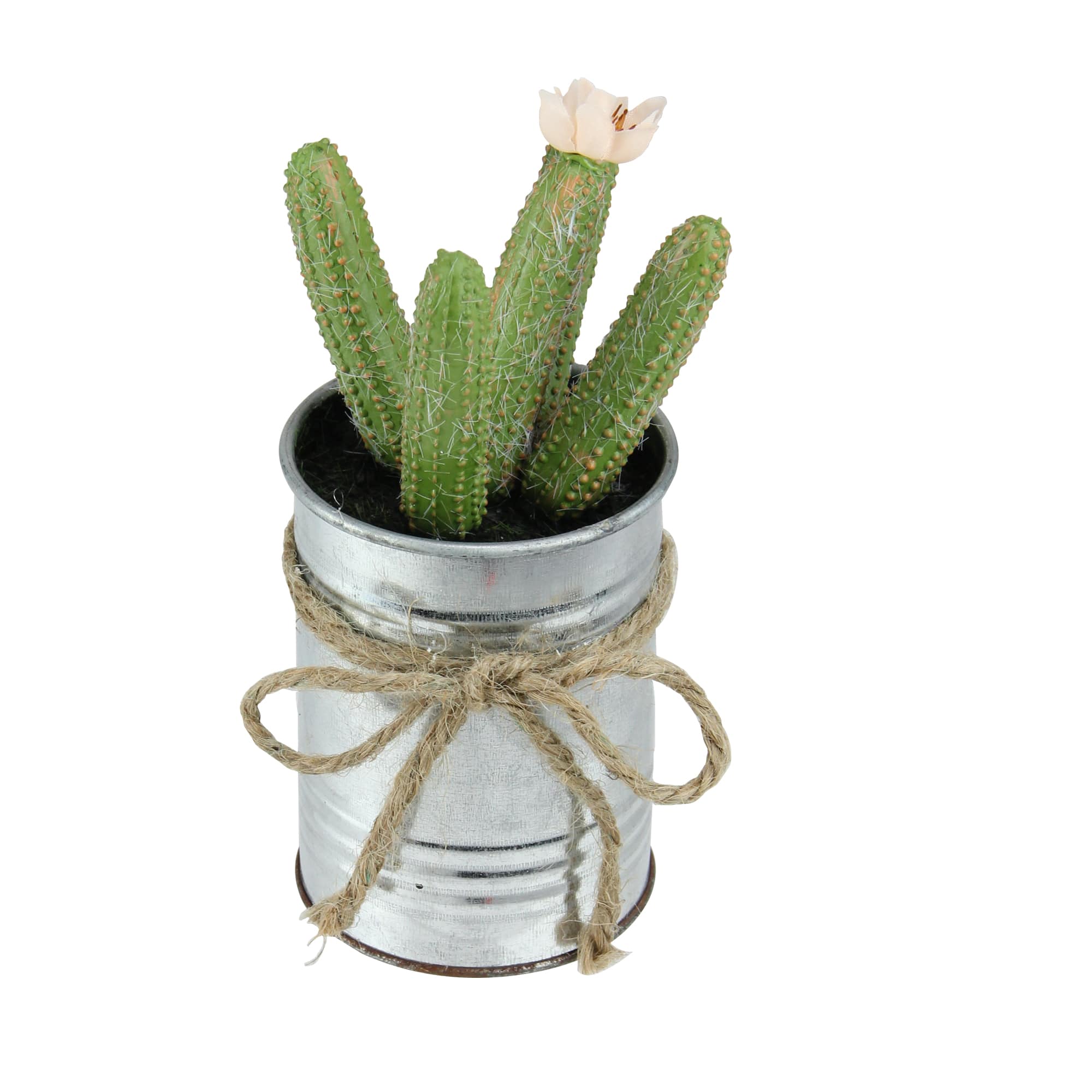 7" Tropical Green Mini Faux Columnar Cactus in Silver Planter