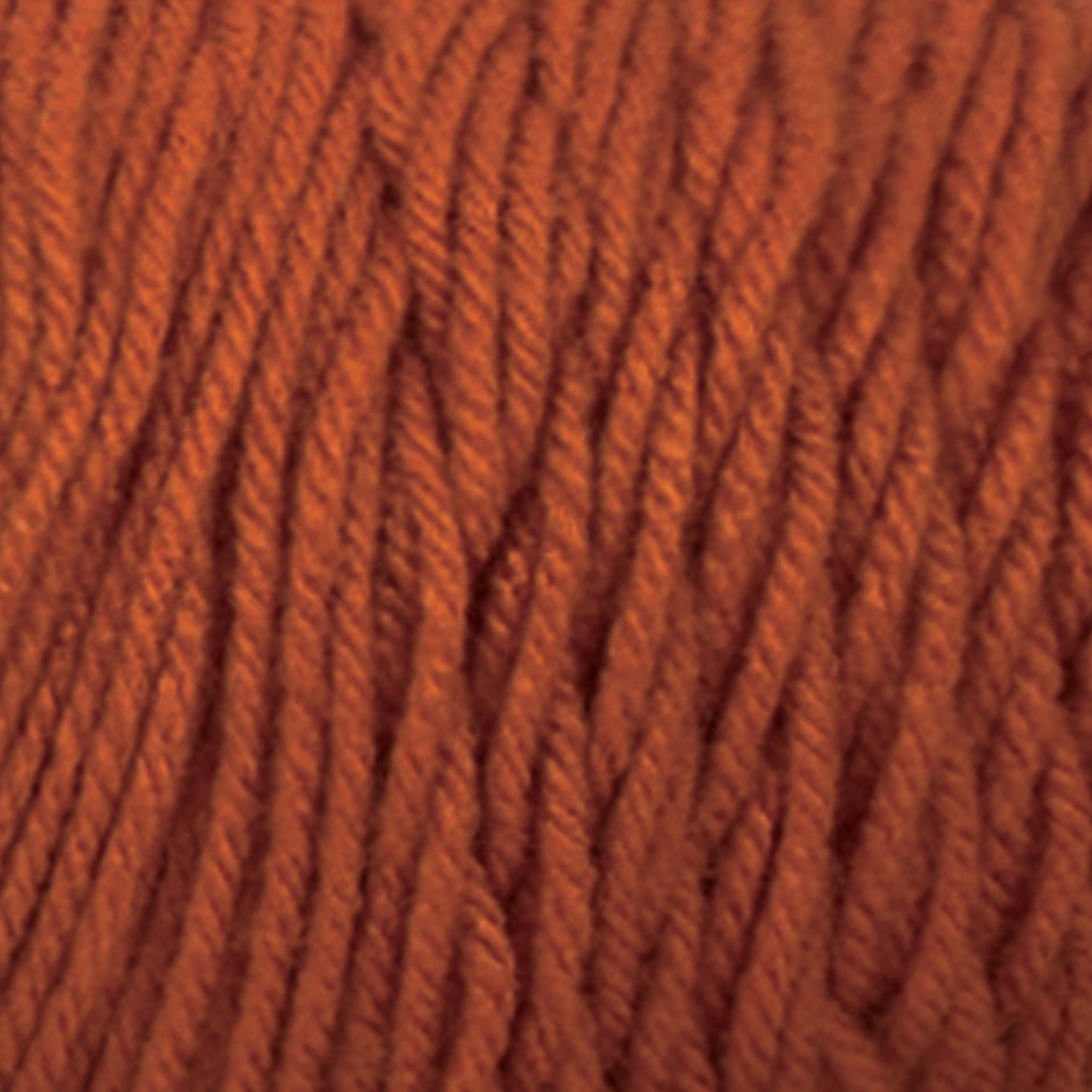 Big Twist&#xAE; Value Yarn