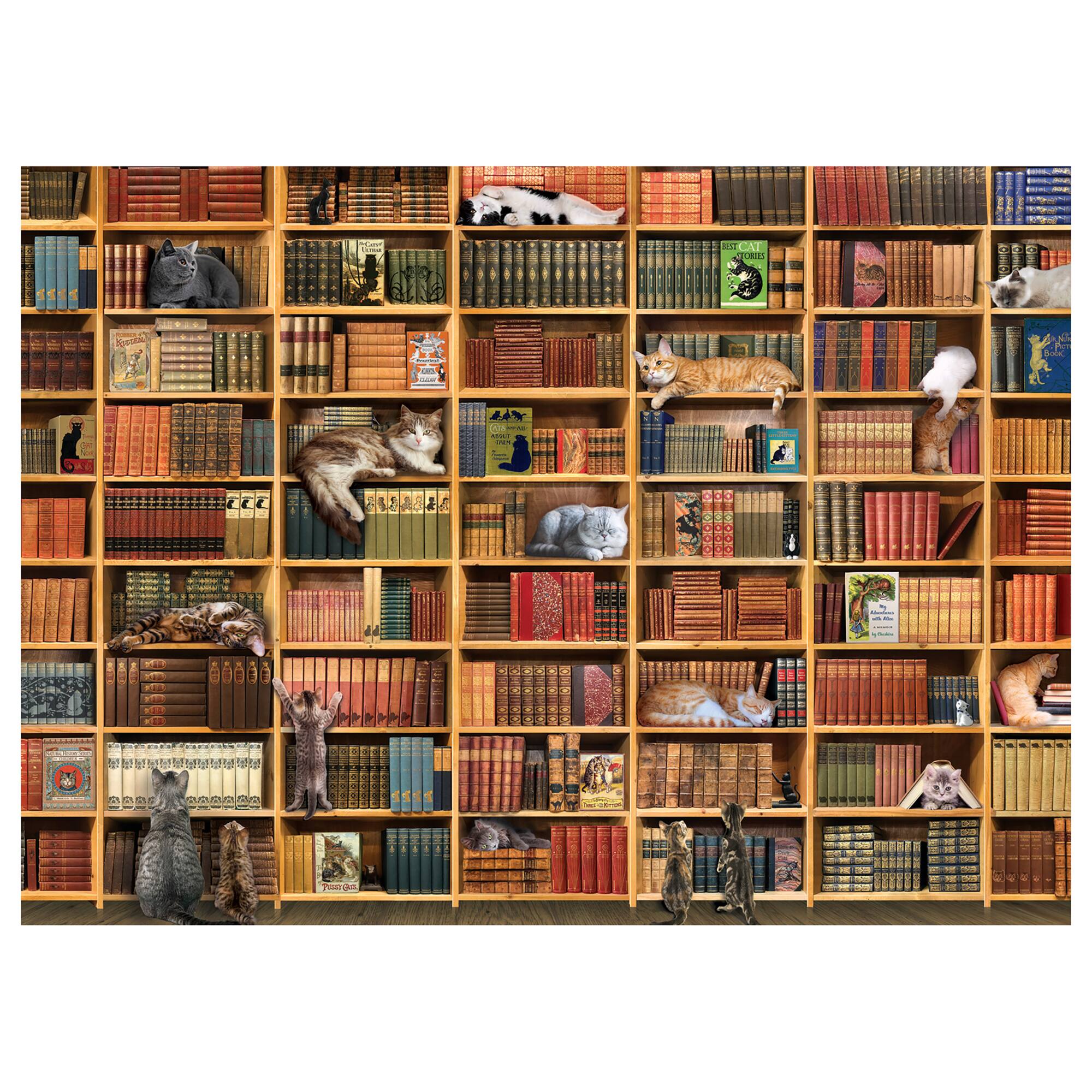 cat library puzzle