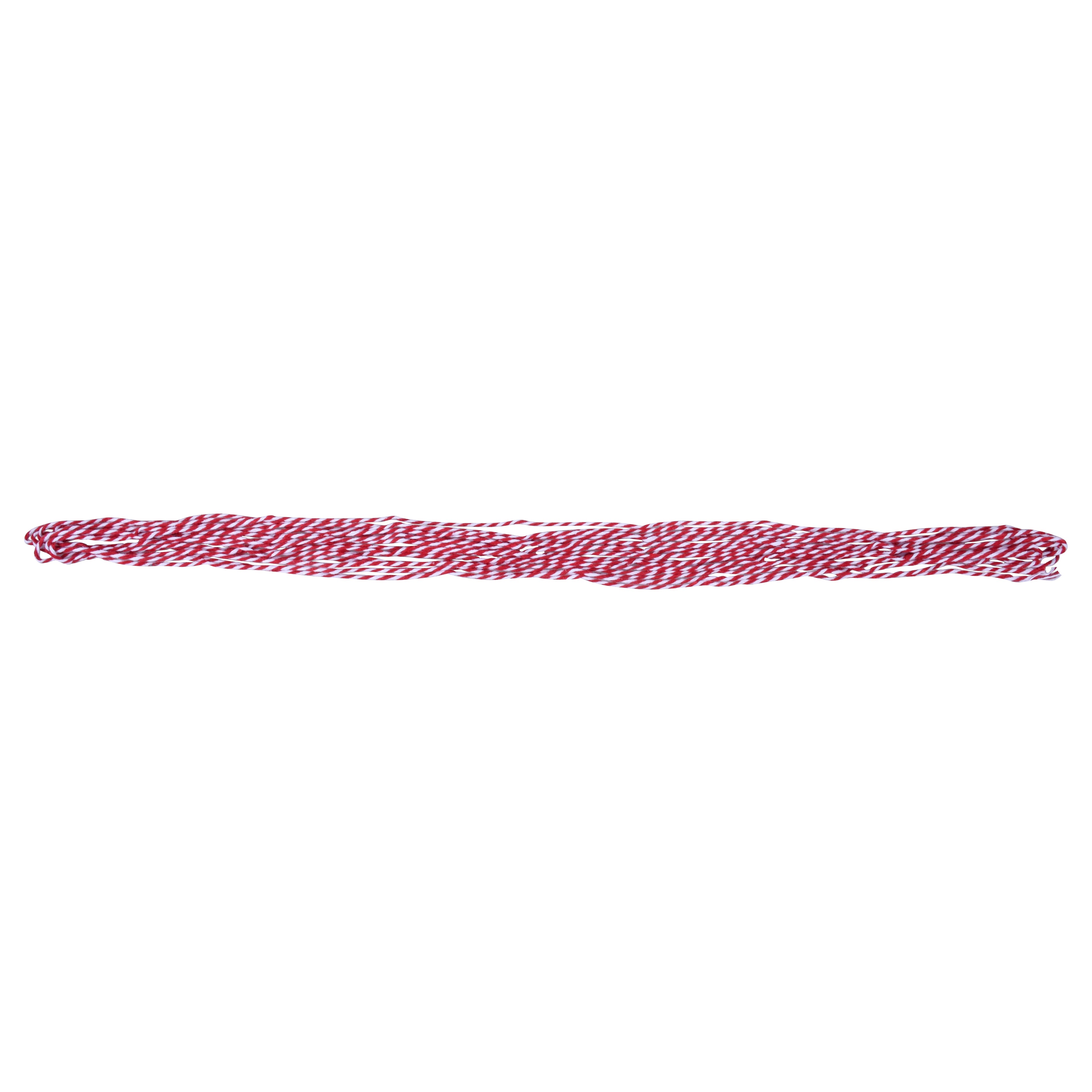 25ft. Red &#x26; White Baker&#x27;s Twine by Celebrate It&#xAE;