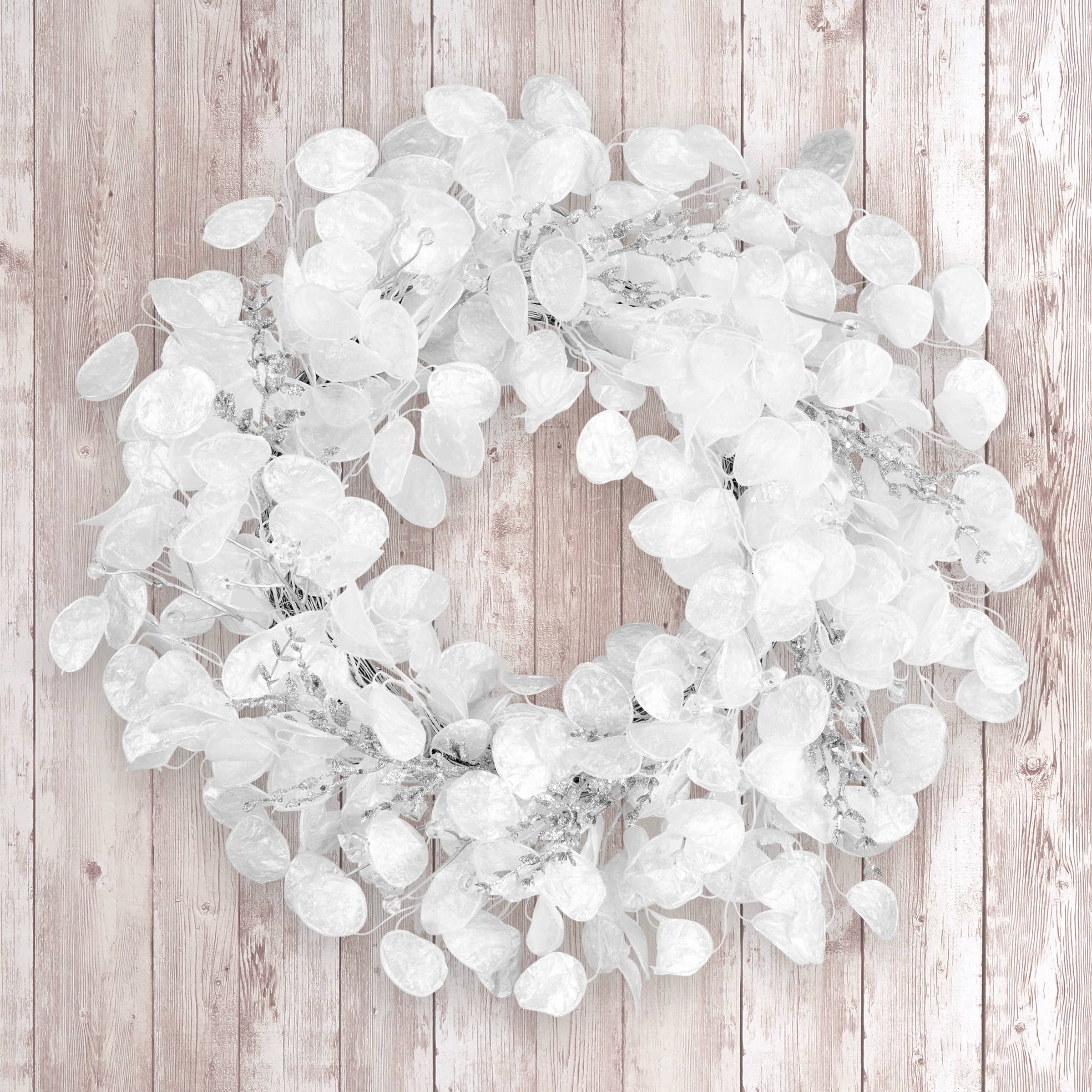 24" Winter Frost White Wreath