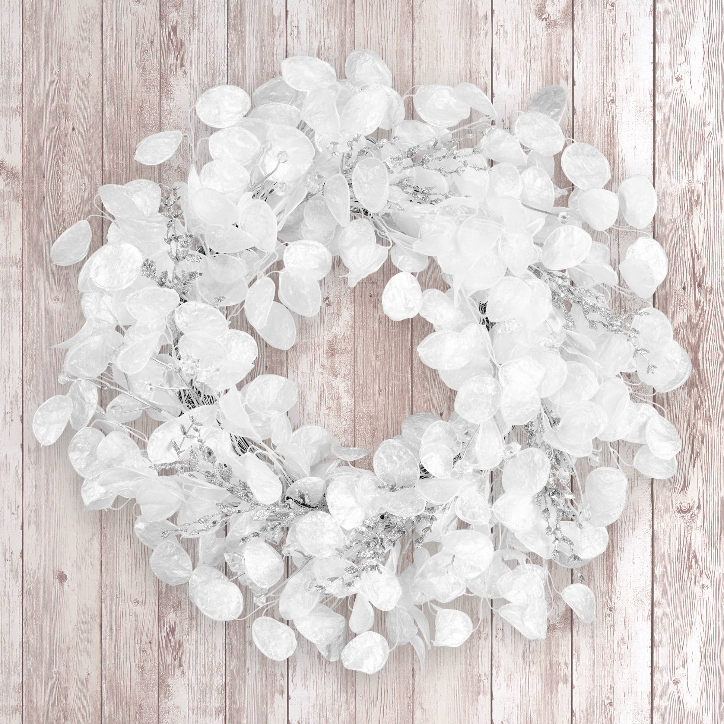 24&#x22; Winter Frost White Wreath