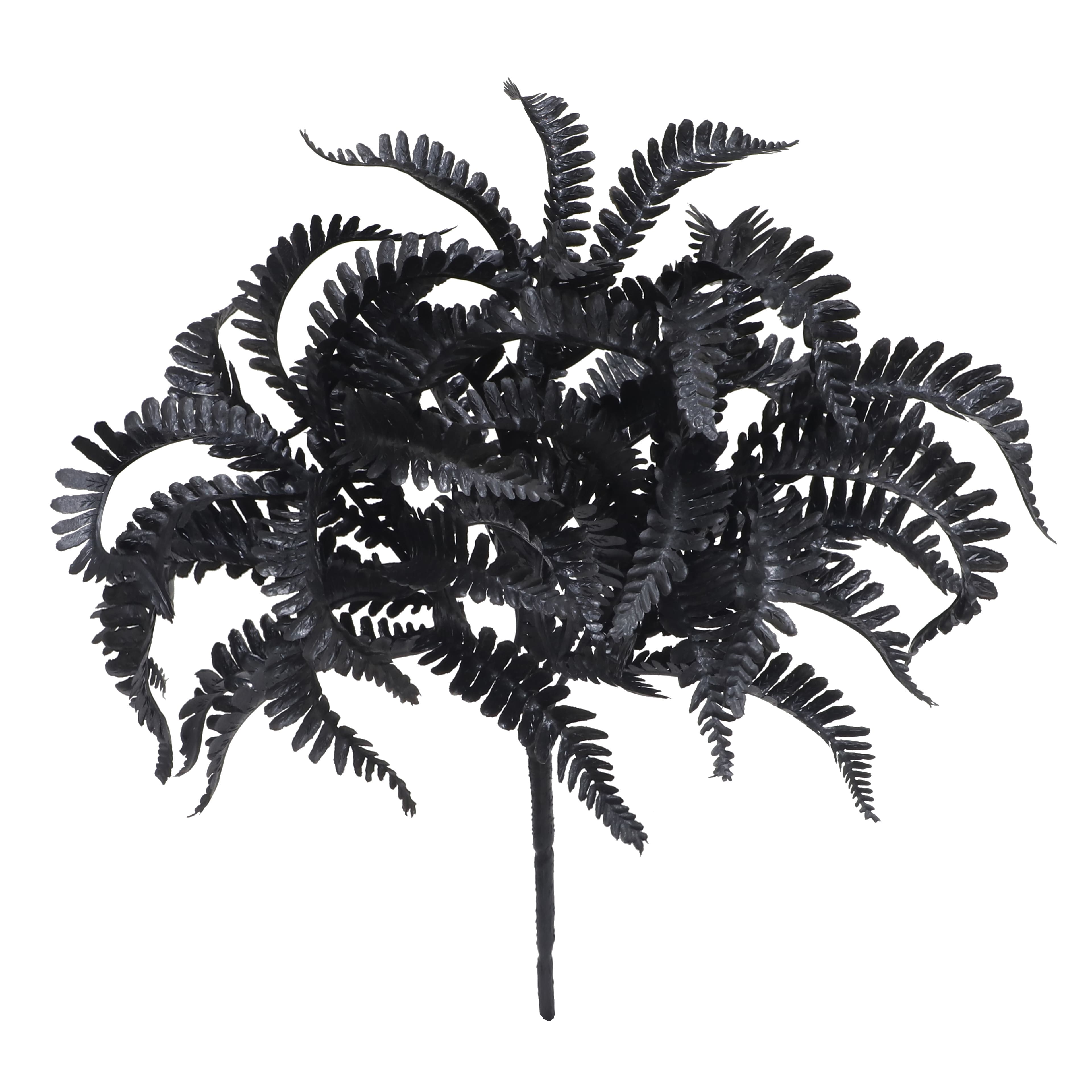 9.5&#x22; Black Fern Pick by Ashland&#xAE;