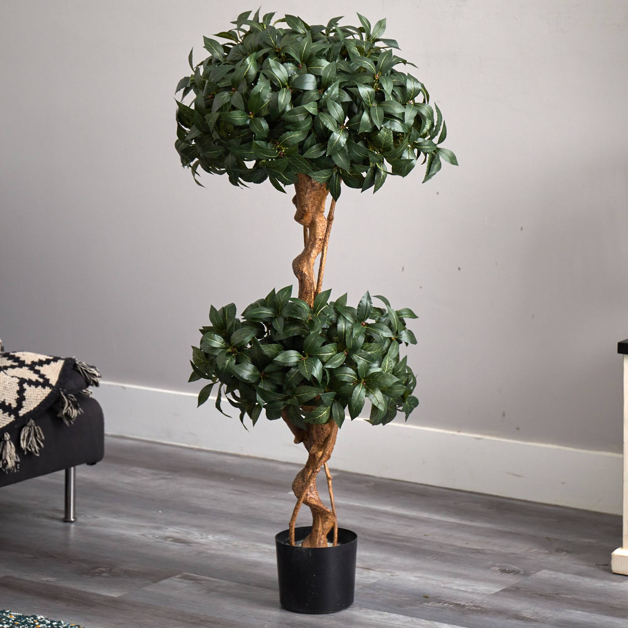 4ft. Potted Sweet Bay Double Ball Topiary Tree