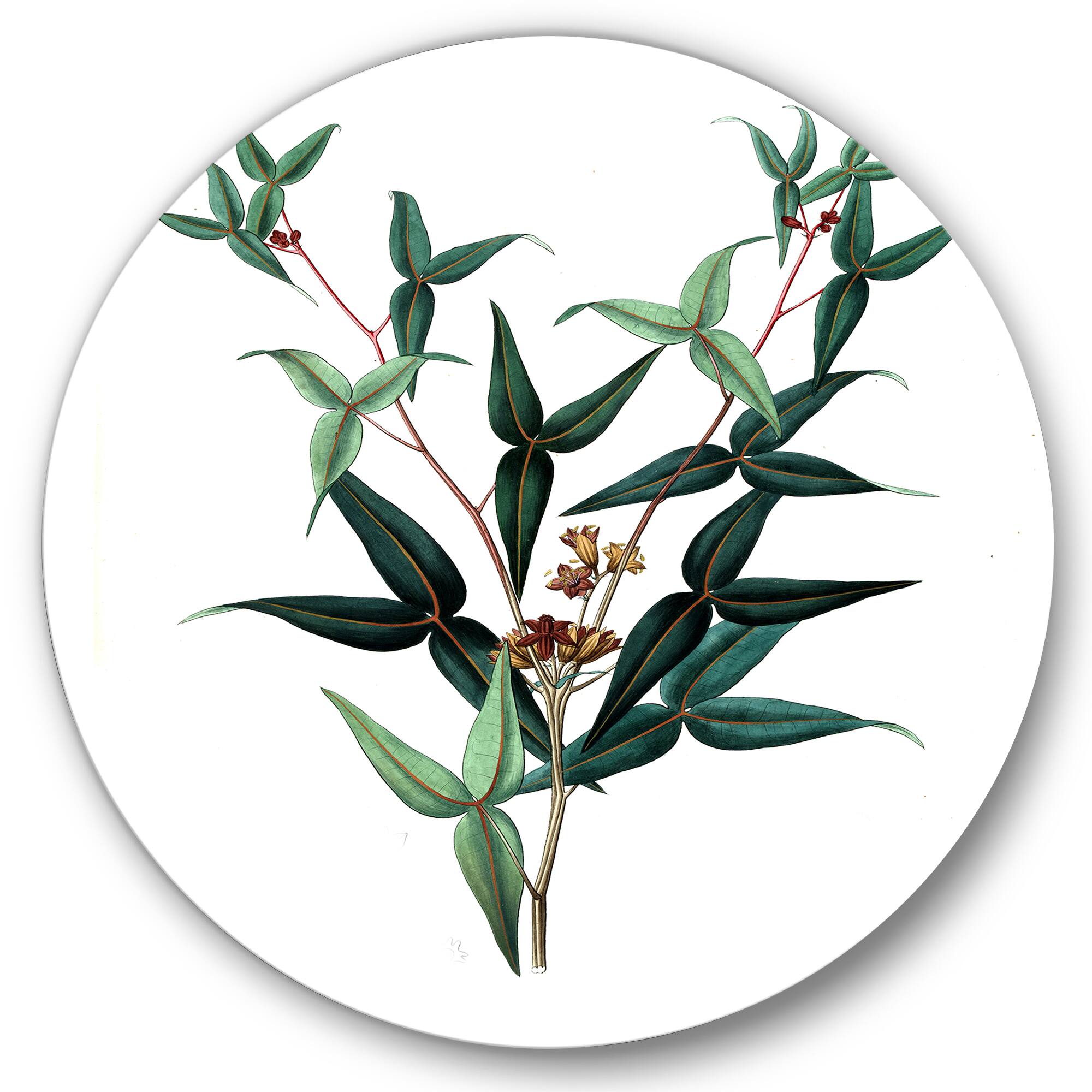 Designart - Vintage Green Leaves Plants VIII - Traditional Metal Circle Wall Art