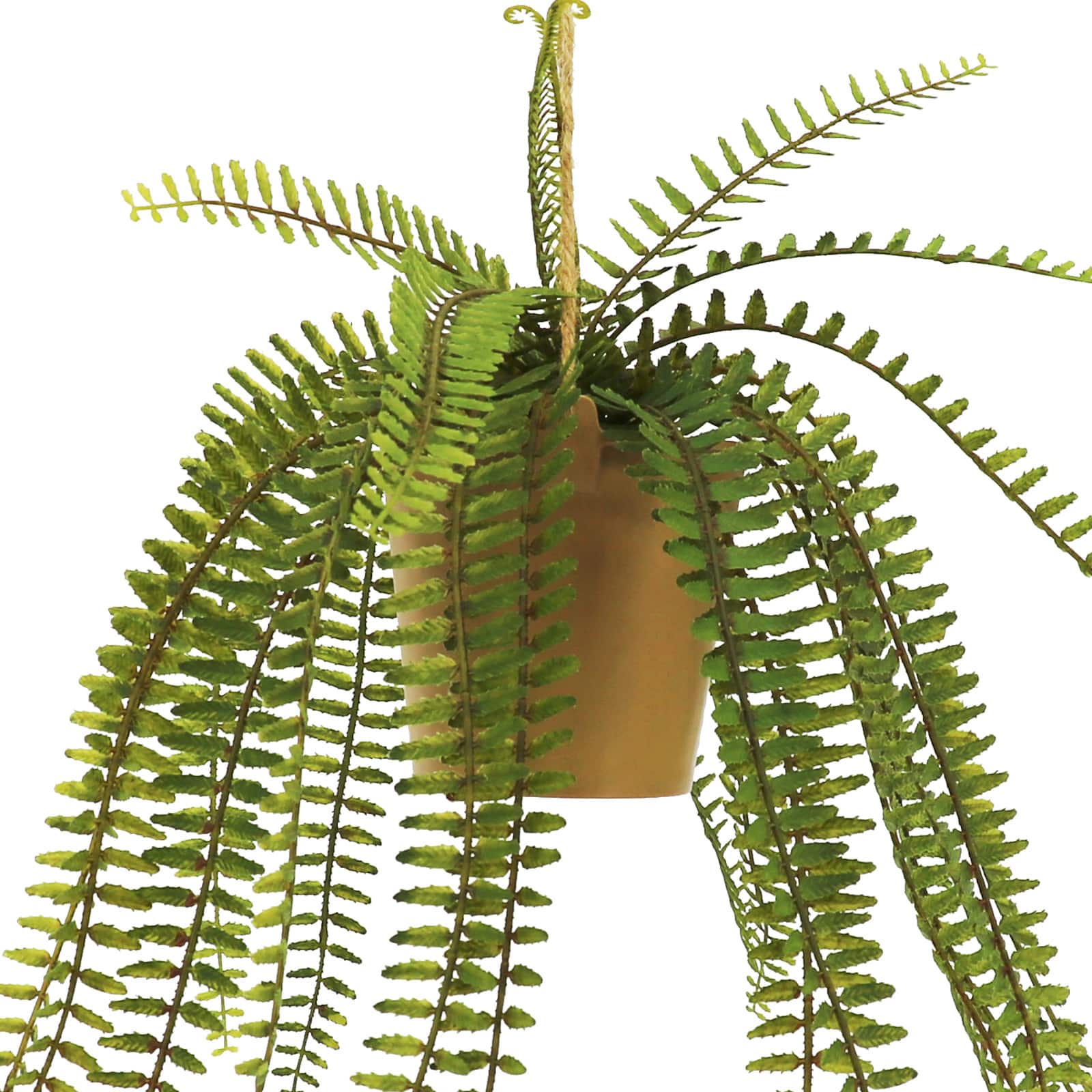 19&#x22; Hanging Boston Fern by Ashland&#xAE;