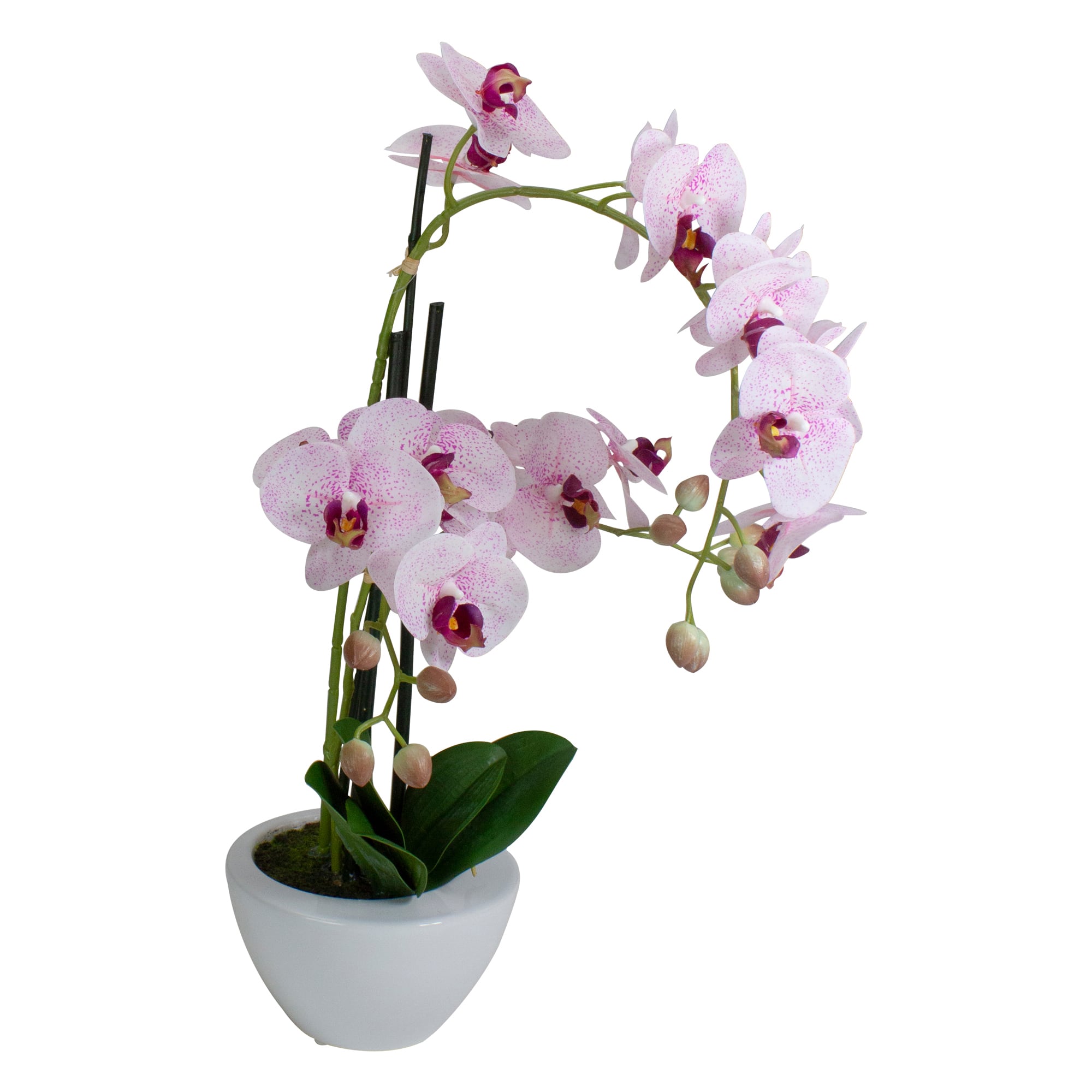 21&#x22; Pink &#x26; White Orchid Plant in White Pot