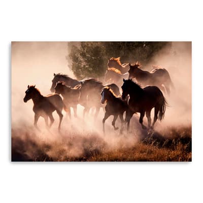 Lumaprints Horses Canvas Wall Art | Michaels