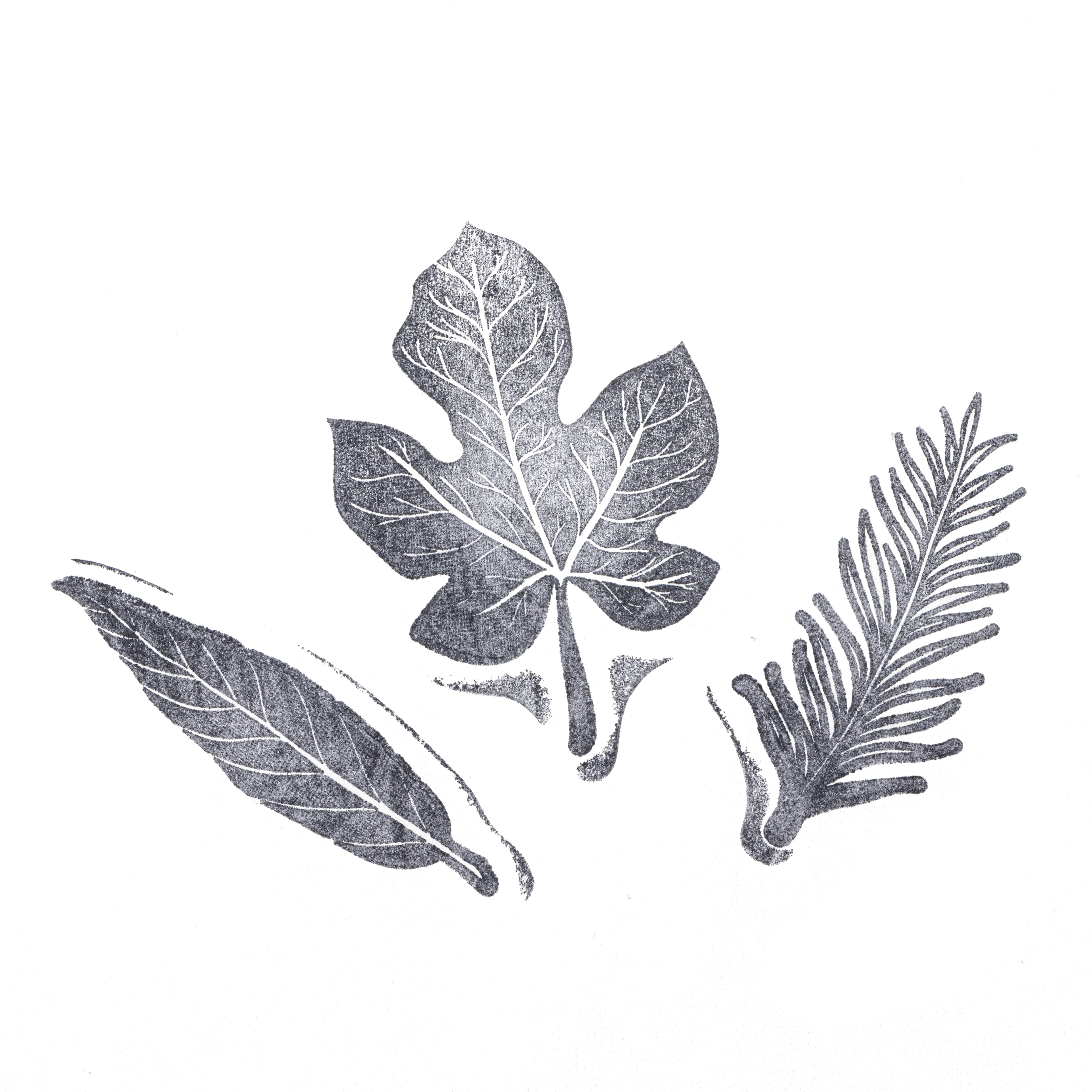 6 Pack: Leaf Stamp Set by Recollections™