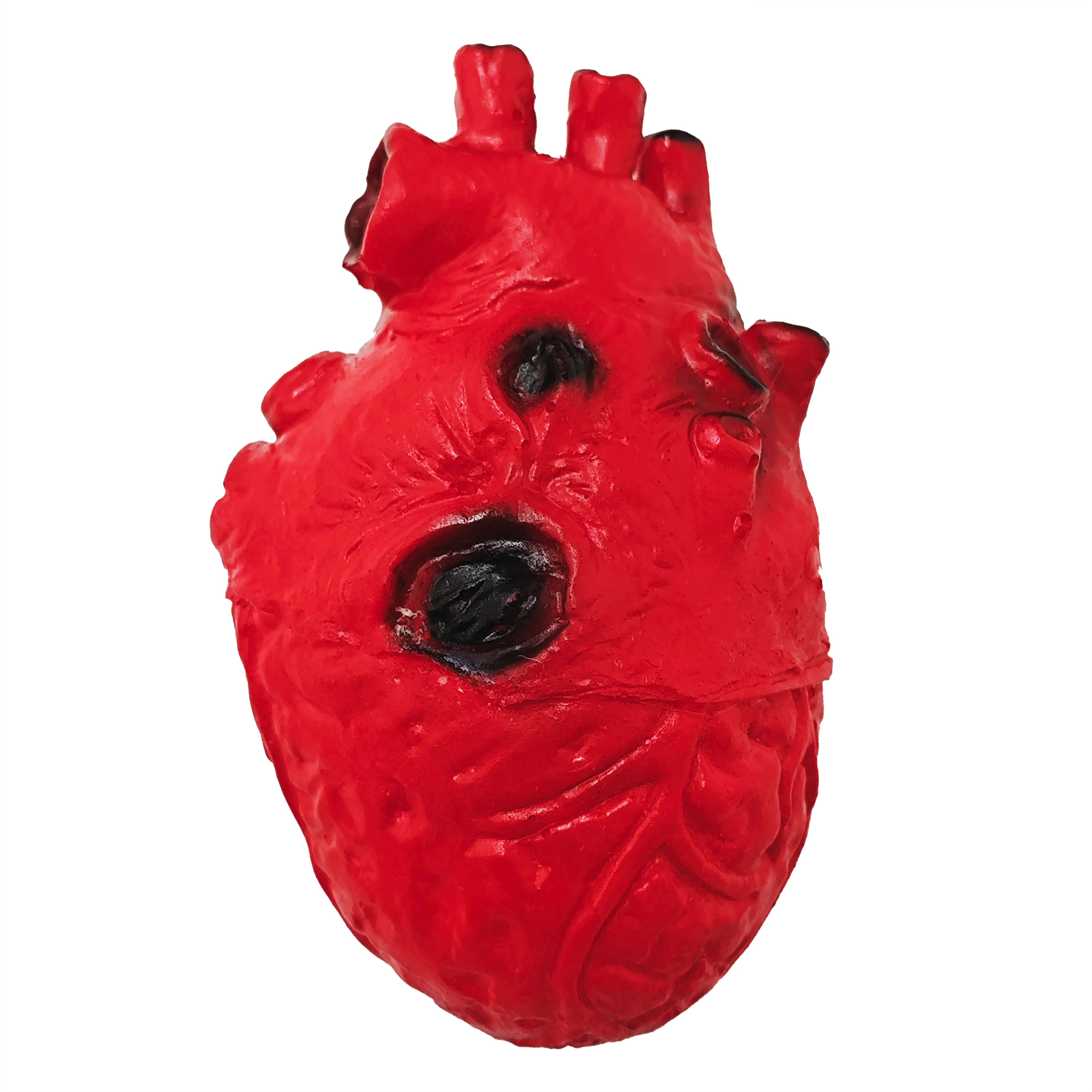 Assorted Severed Organ Halloween Accents, 6pc. by Ashland&#xAE;