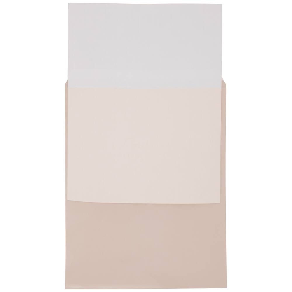 JAM Paper 8.93" x 11.25" Self Adhesive Closure Cello Sleeves, 100ct.