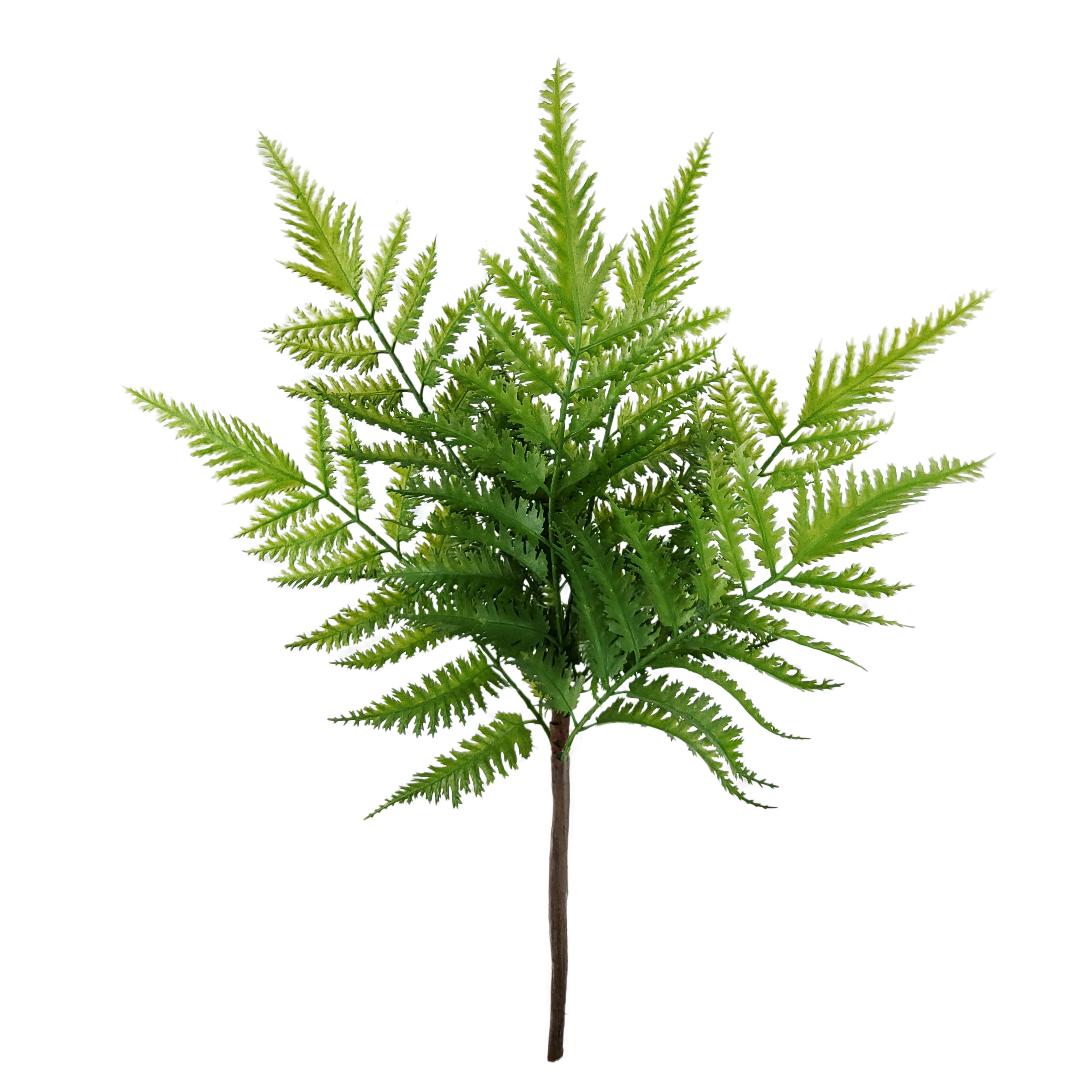 15&#x22; Green Fern Bush by Ashland&#xAE;