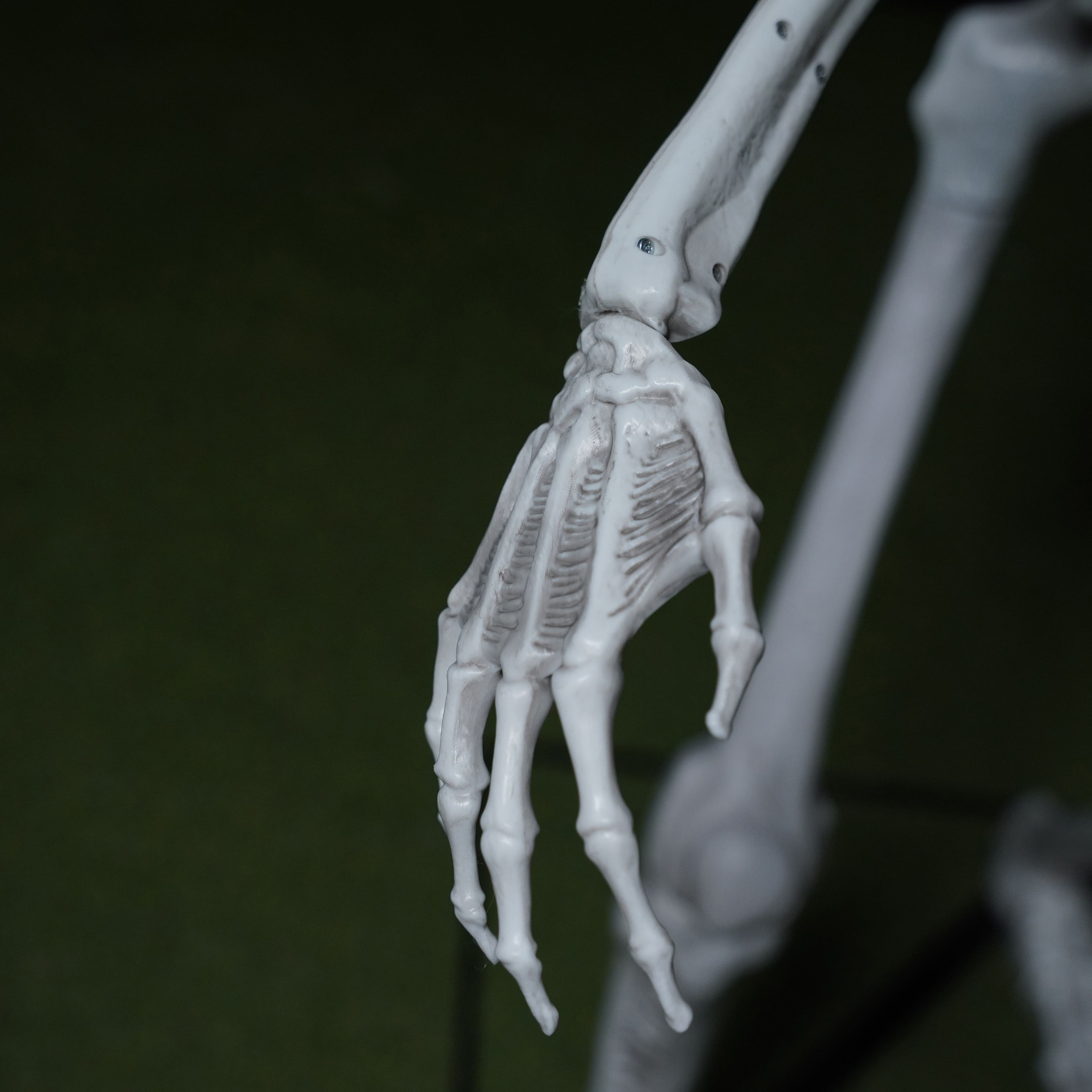 5ft. Skeleton with Red Light-Up Eyes by Ashland&#xAE;