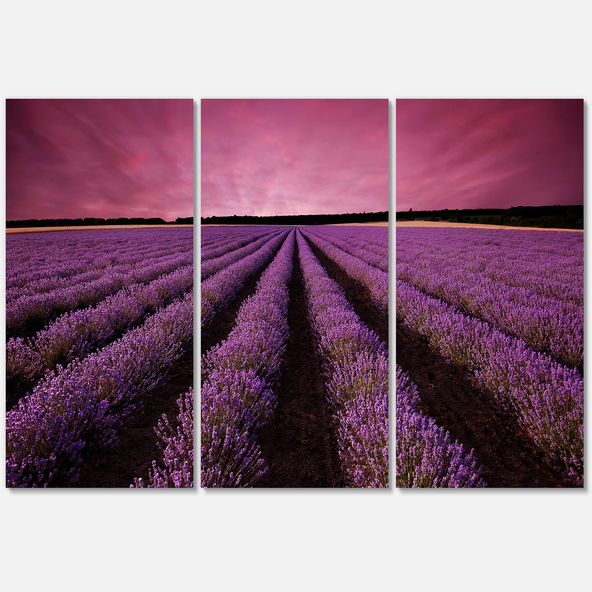 Designart - Sunrise & Dramatic Clouds Over Lavender Field XI