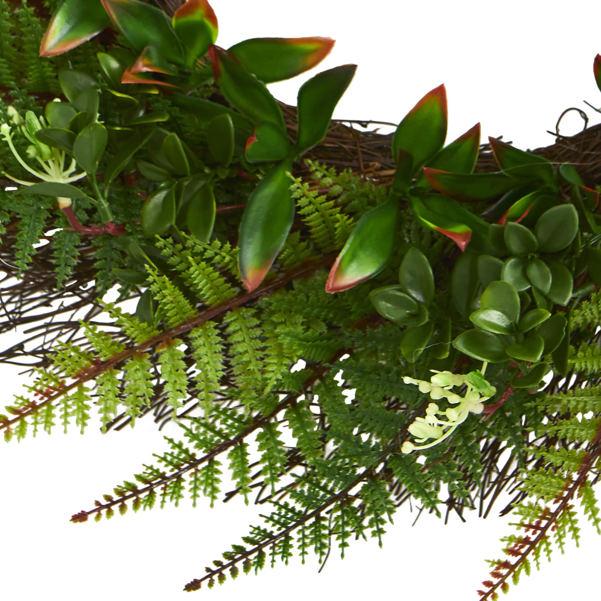 23&#x201D; Fern Wreath