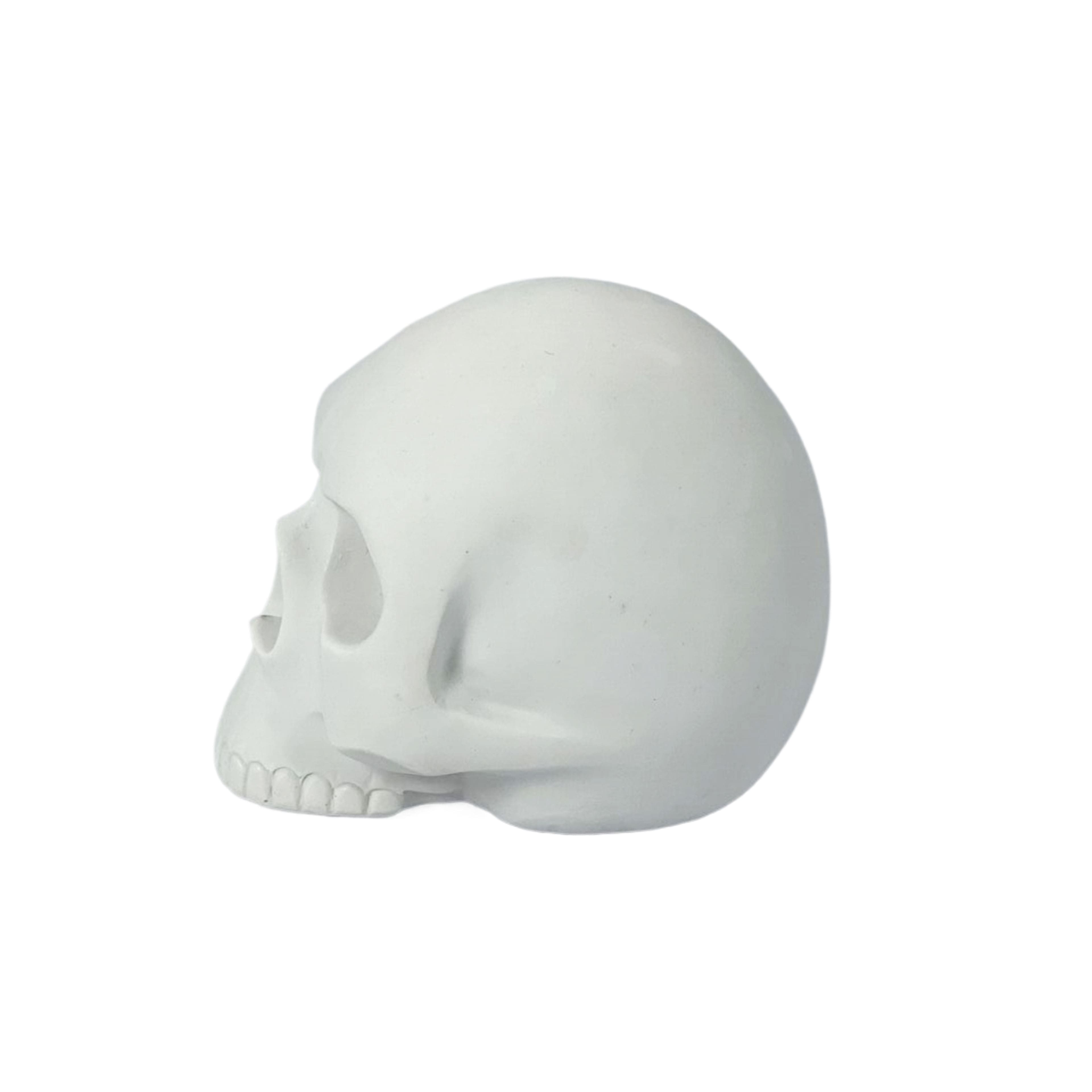 4&#x22; DIY Resin D&#xE9;cor Skulls, 3ct. by Make Market&#xAE;