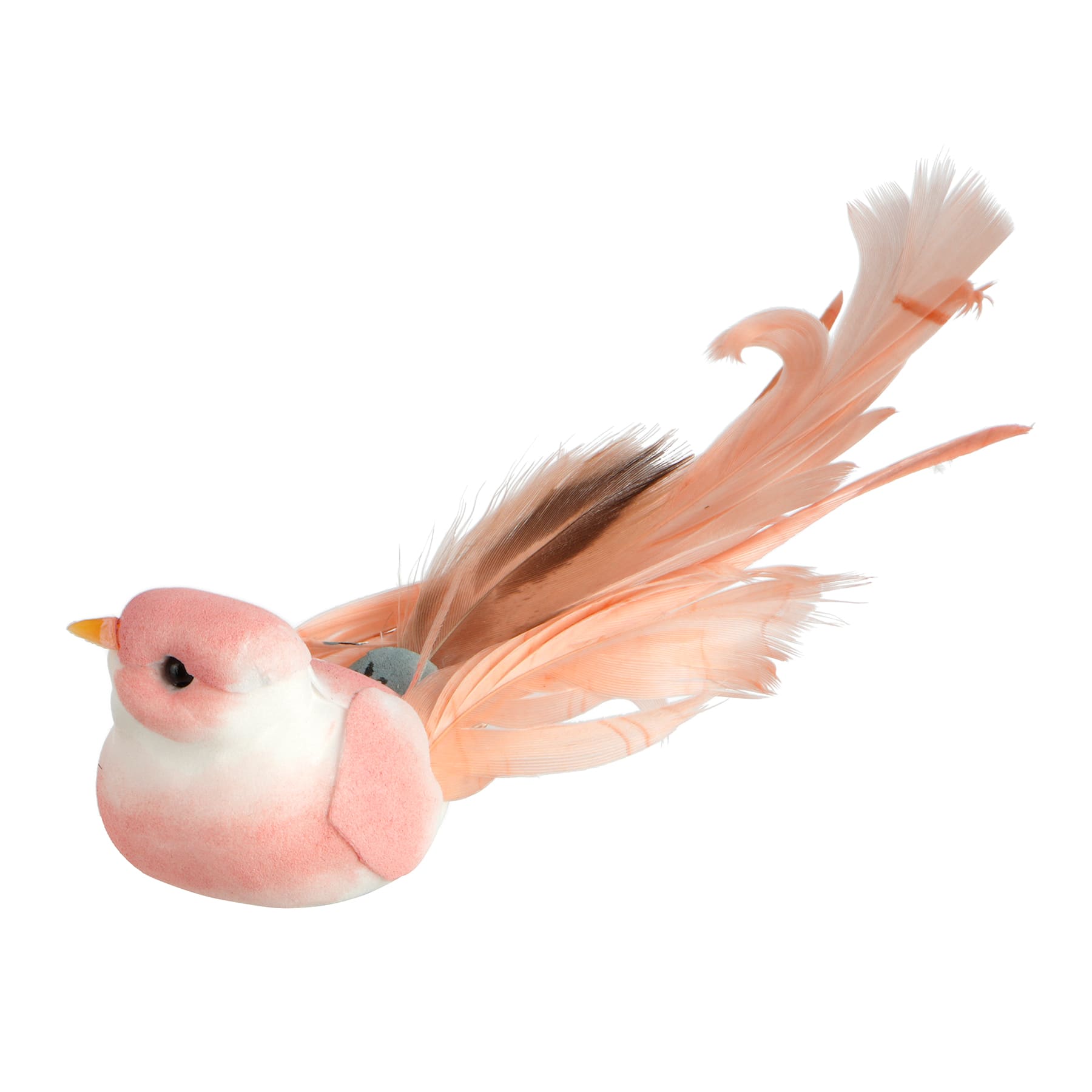 Decorative Feather Birds, 2ct. by Ashland&#xAE;