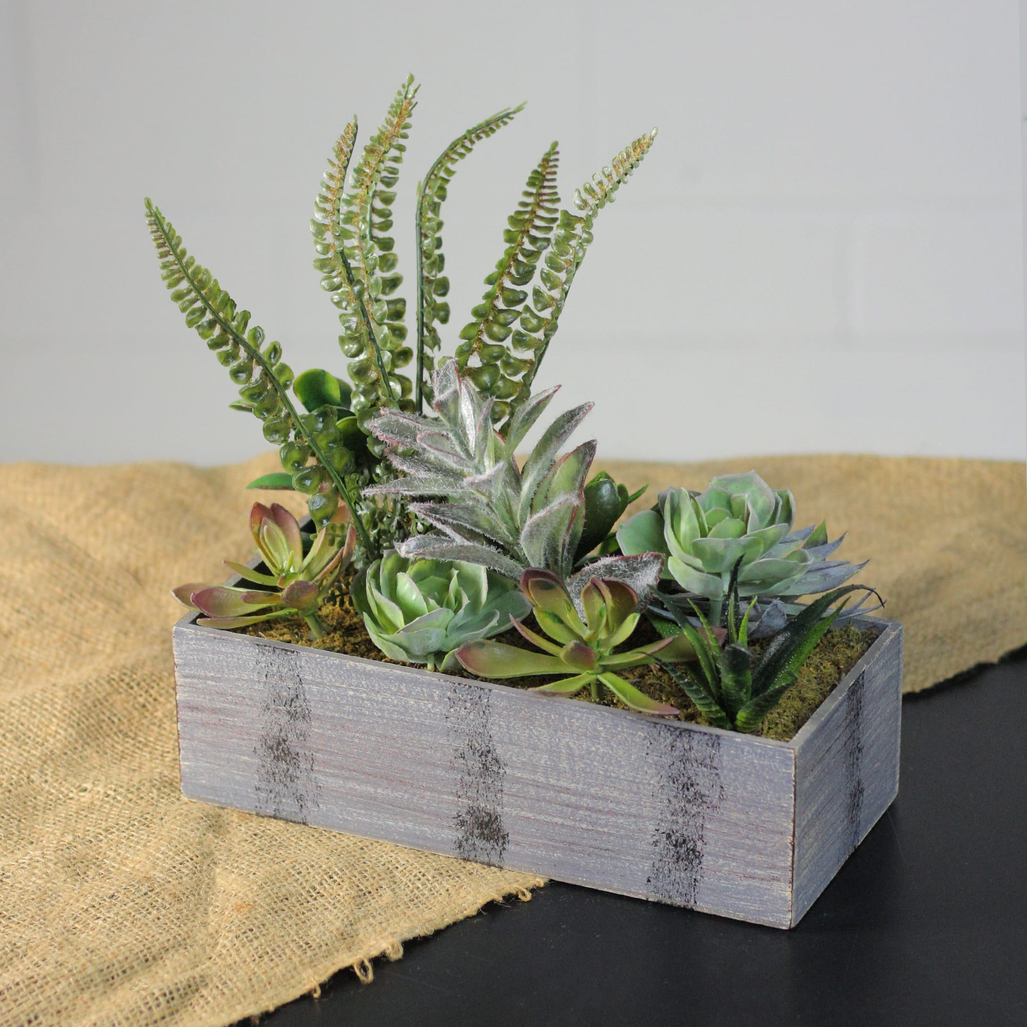 11.75&#x22; Mixed Succulent Plants in Rectangular Planter