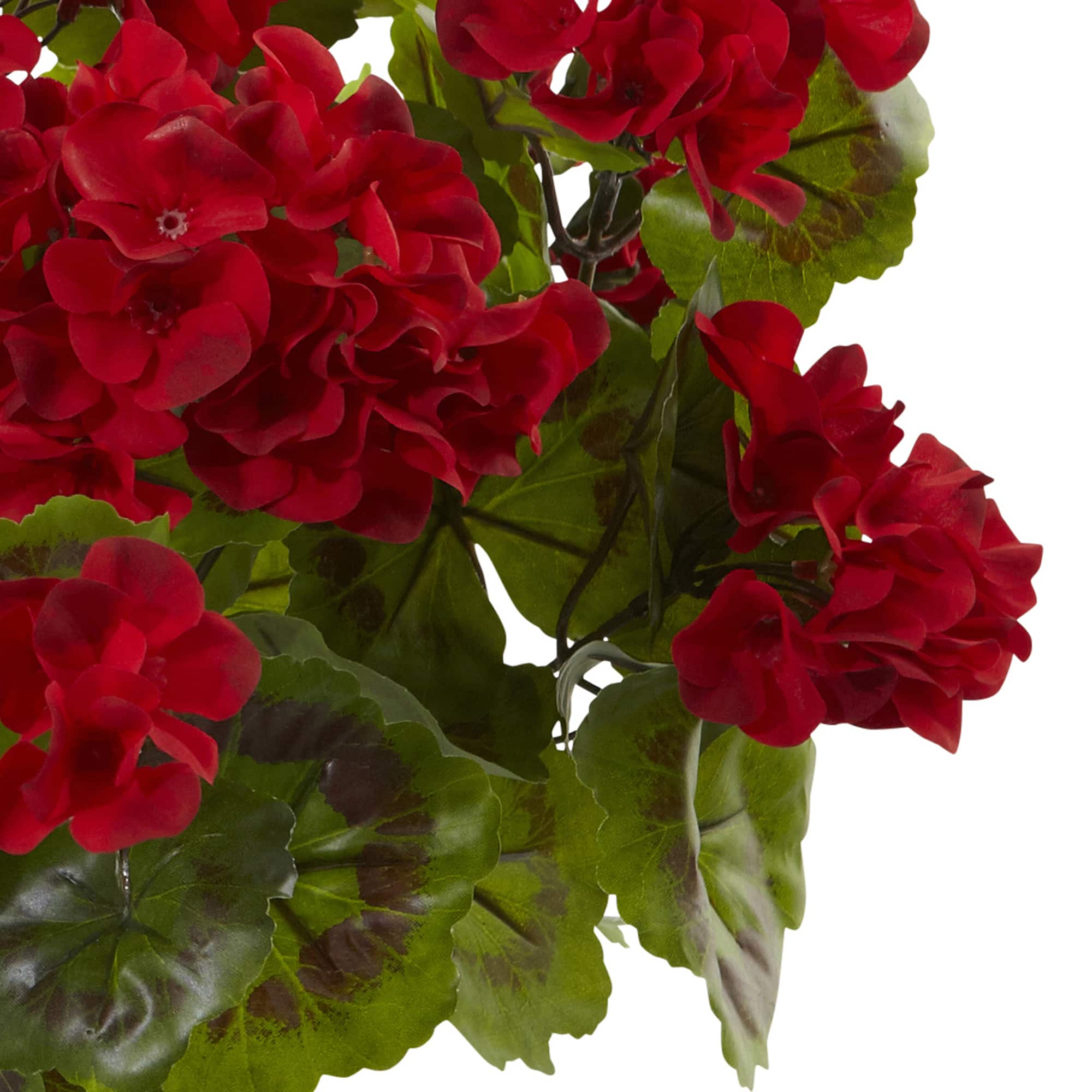 Red Geranium Bush, 3ct. | Michaels
