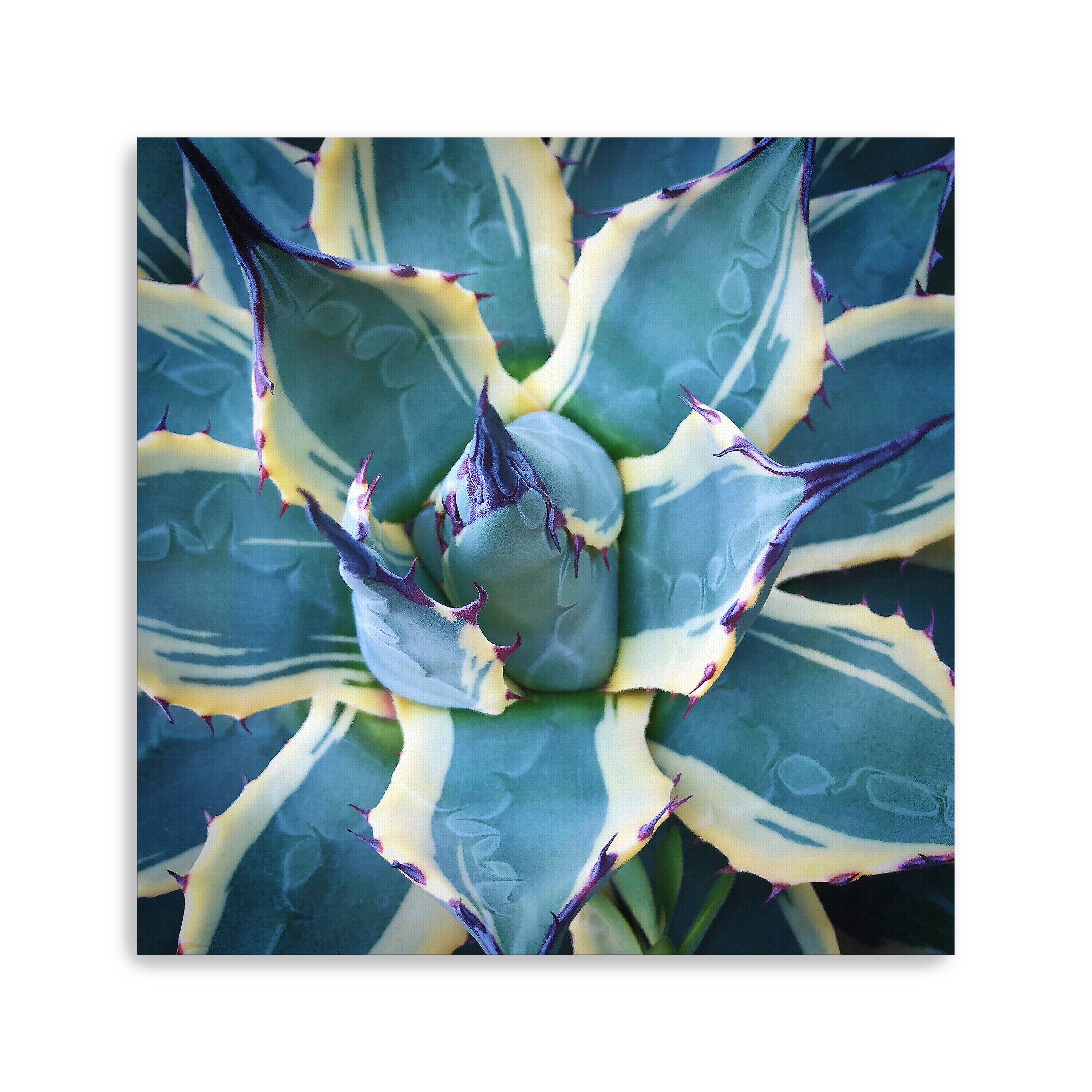 Lumaprints Elegant Thorns Canvas Giclée Wall Art