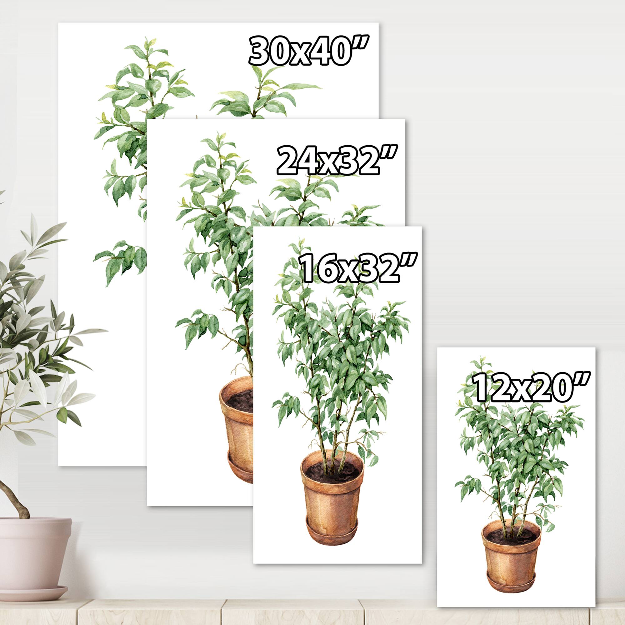 Designart - Ficus Benjamina In Clay Flowerpot