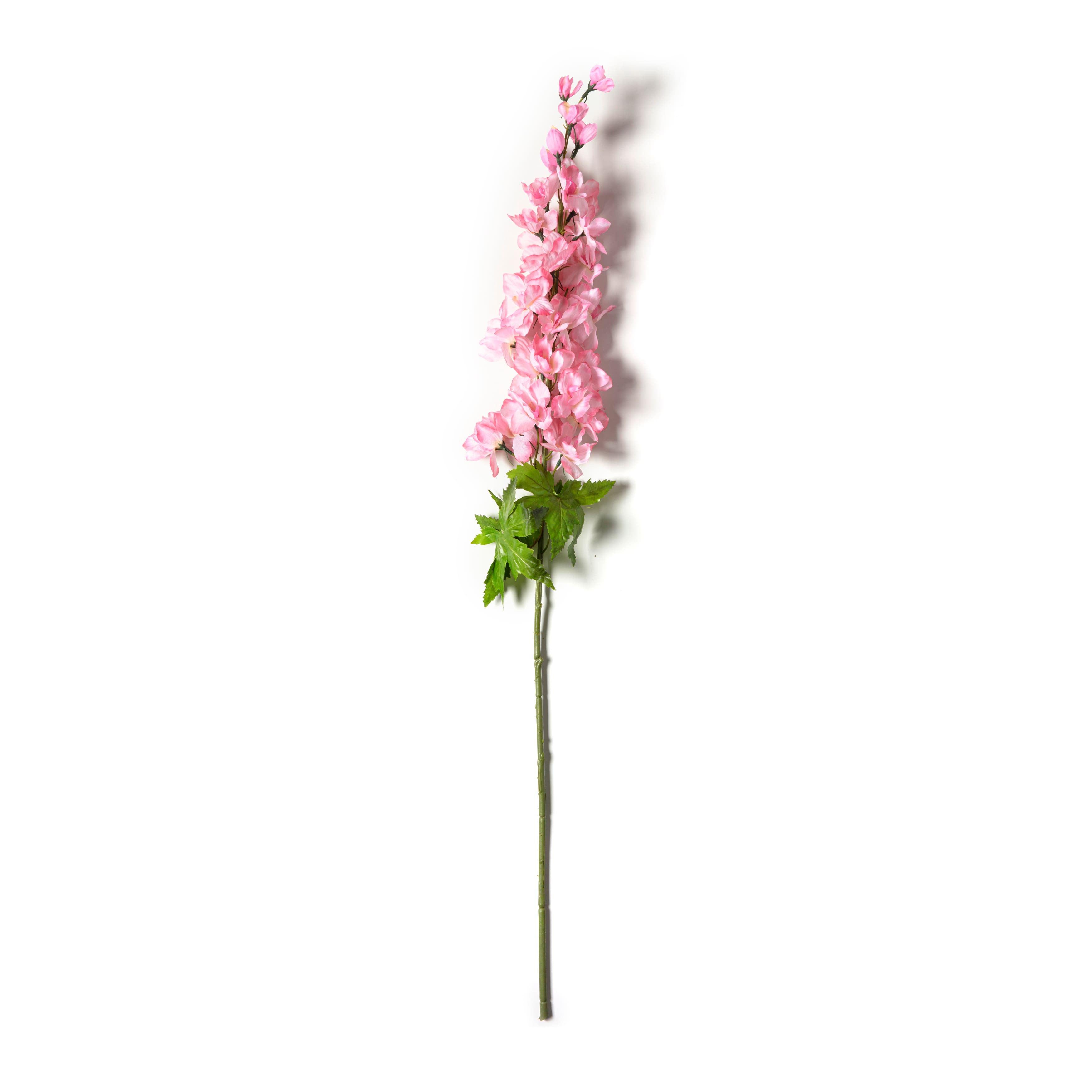 Pink Larkspur Stem by Ashland®