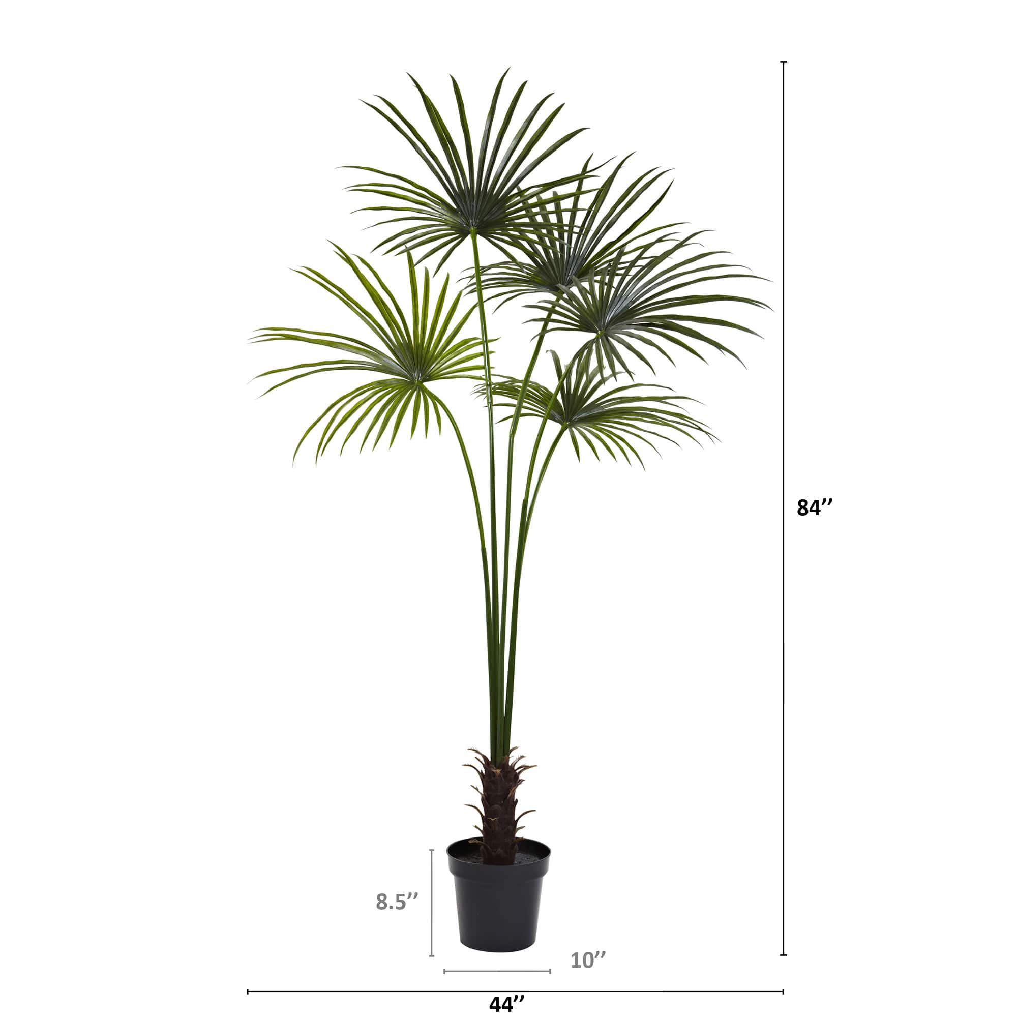7ft. Potted Fan Palm Tree 