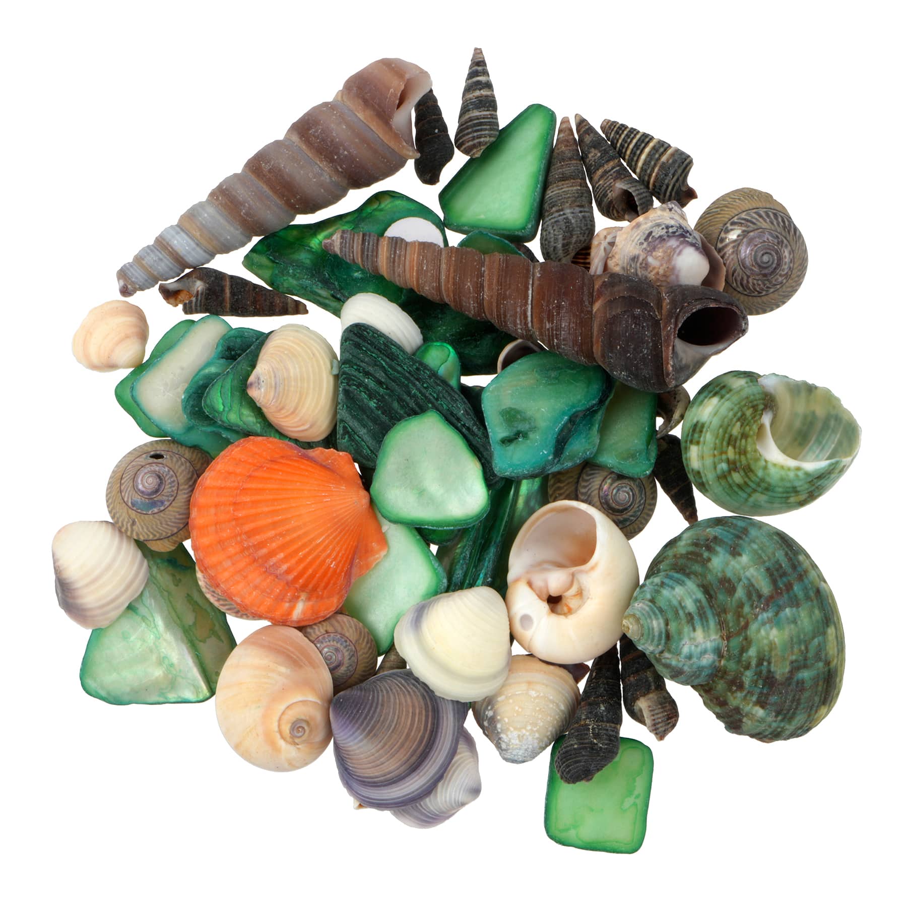 3.5oz. Dyed & Natural Shell Mix by Ashland®