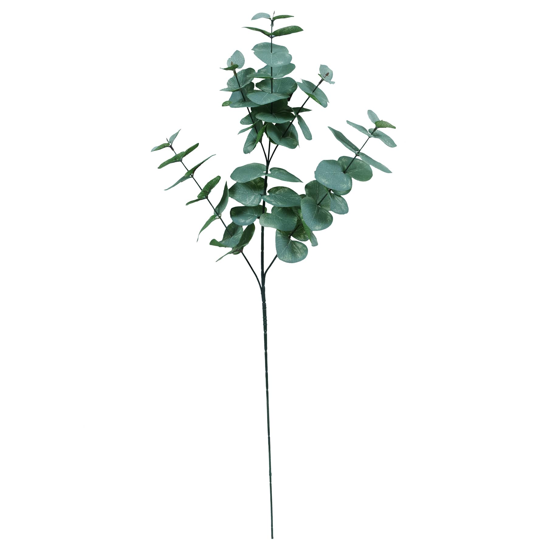 Find the Dusty Light Green Eucalyptus Stem by Ashland® at Michaels