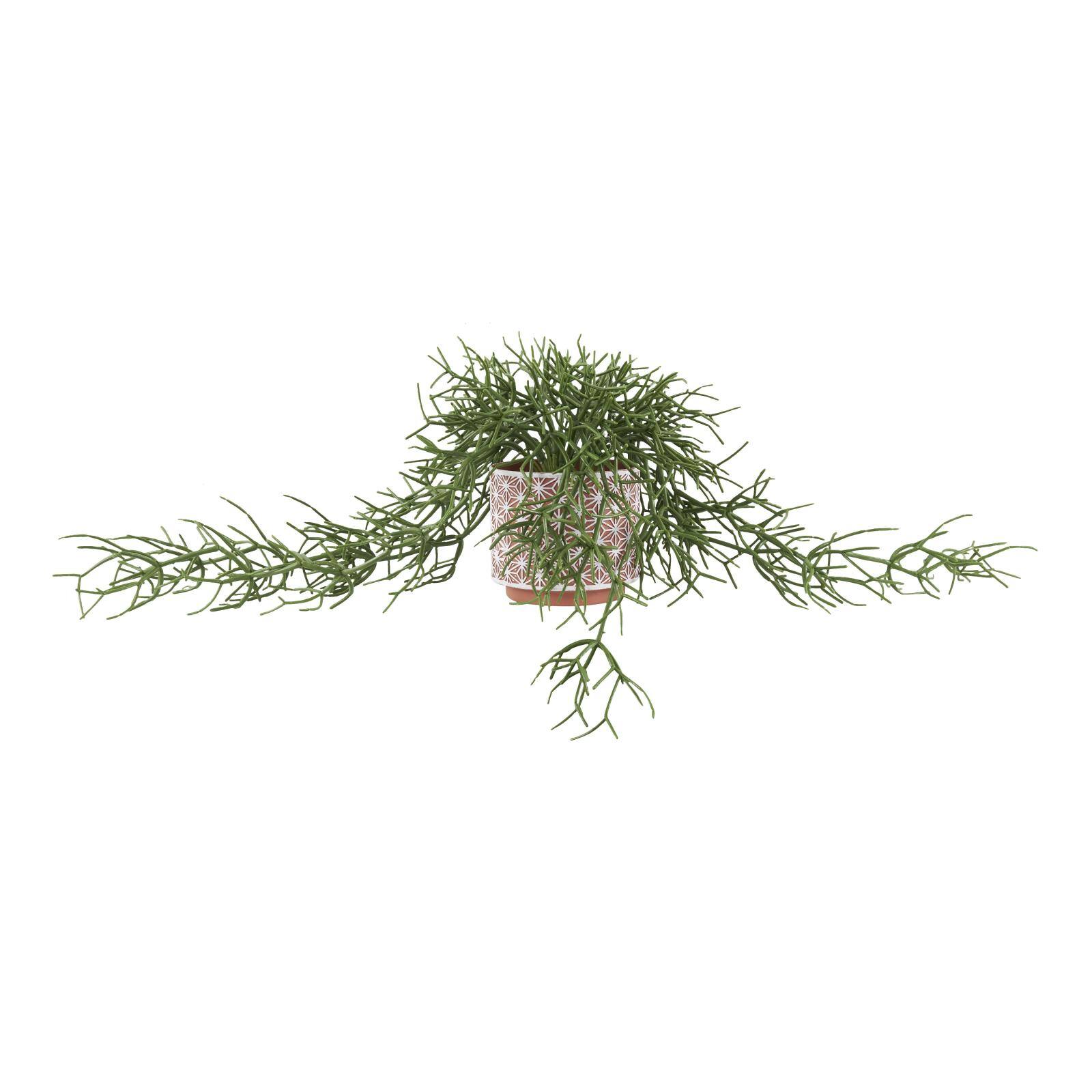 14&#x22; Faux Cascading Artificial Plant with Geometric Terracotta Pot