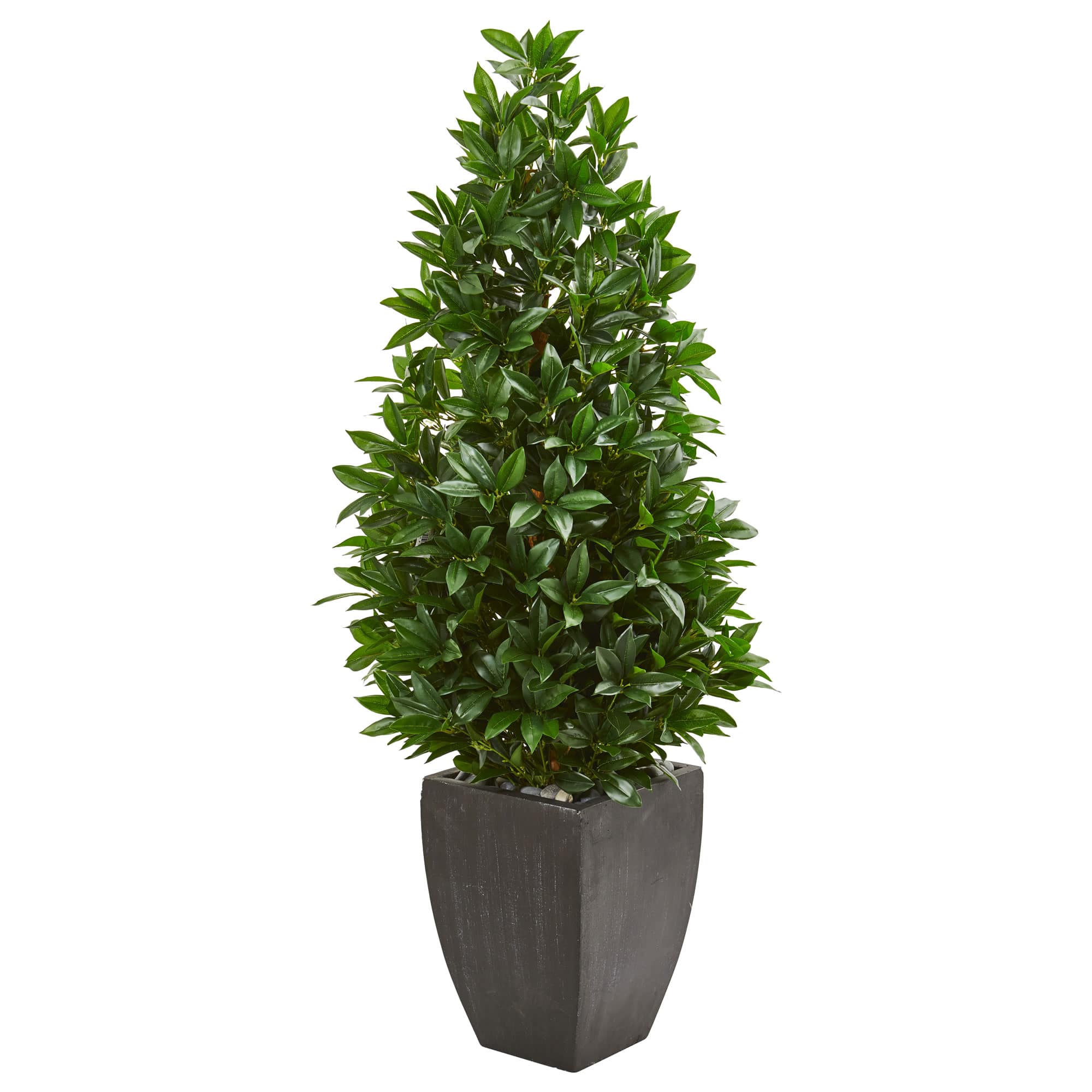 4.6ft. UV Resistant Bay Leaf Cone Topiary Artificial Tree in Black Planter