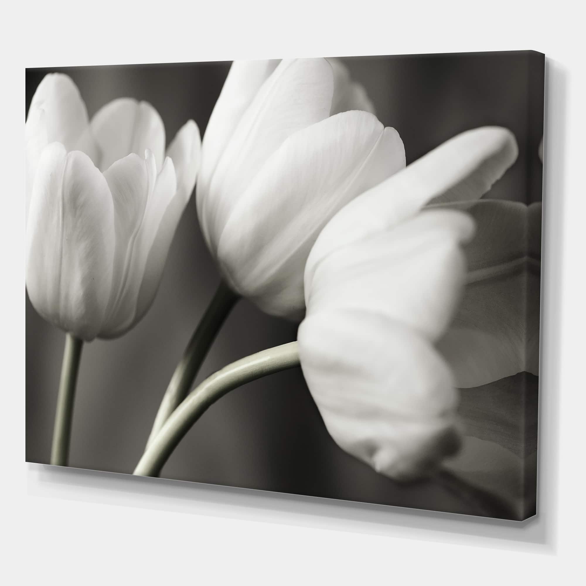 Designart - Row Of Bw Tulips - Cottage Canvas Artwork